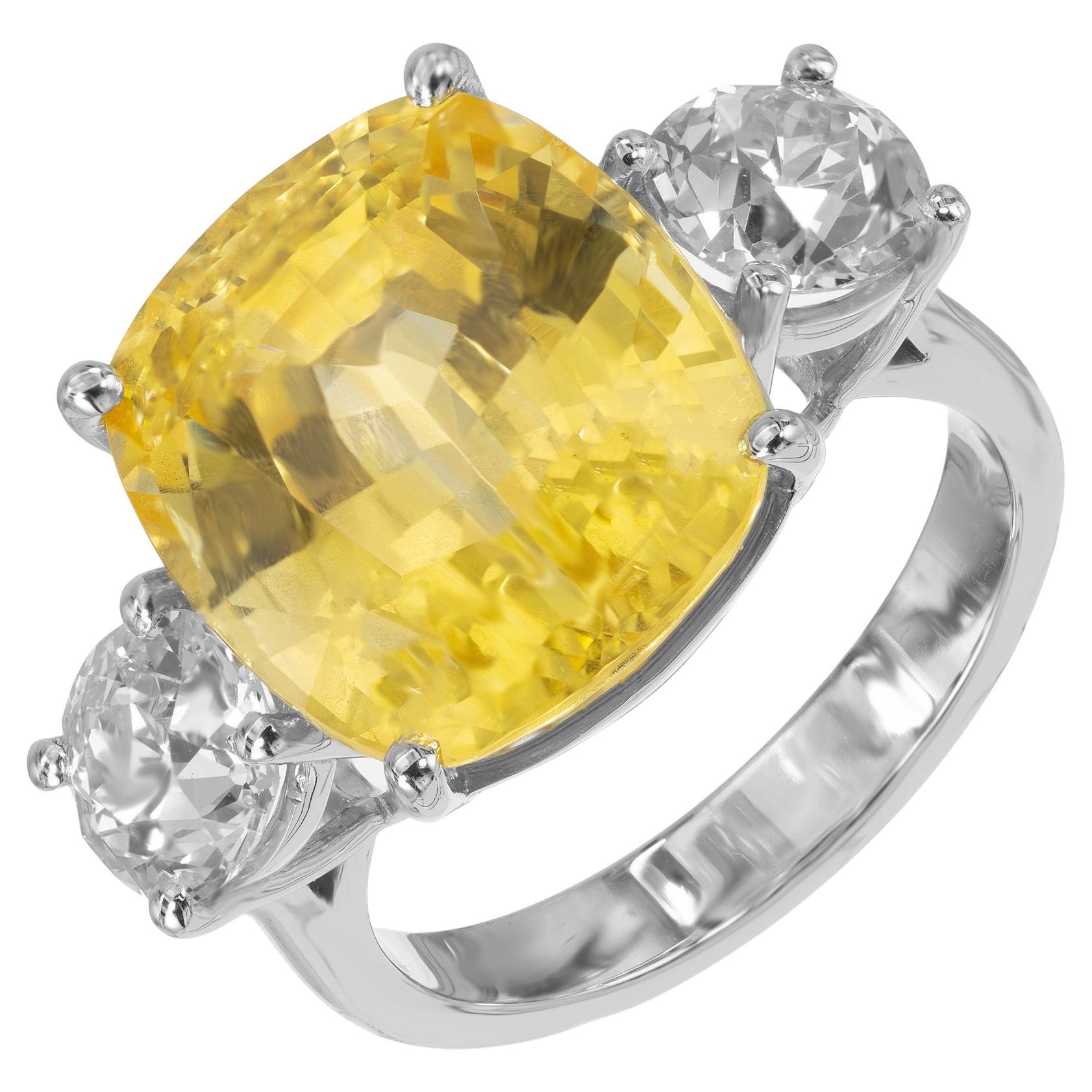 Peter Suchy GIA Certified 13.70 Carat Sapphire Diamond Platinum Engagement Ring