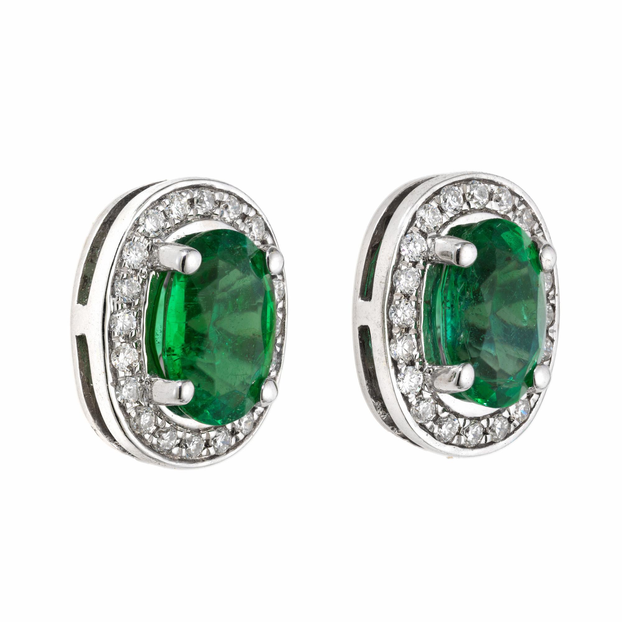 Bright rich green emerald and diamond earrings. GIA certified natural oval brilliant cut emeralds set in 14k white gold four prong settings, each with a halo of near colorless round brilliant cut diamonds. The emeralds have light to moderate clarity
