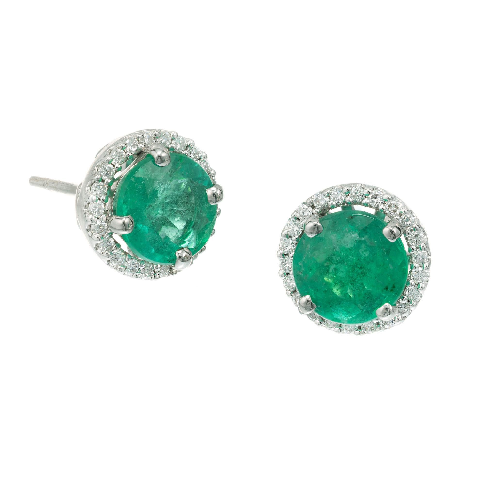 Genuine Gia Certified Emerald and diamond halo earrings. Randomly tested by the GIA as moderate F2 clarity enhanced. Bright color, moderate inclusions. Custom diamond halo settings from the Peter Suchy Workshop.

2 round green MI emeralds,