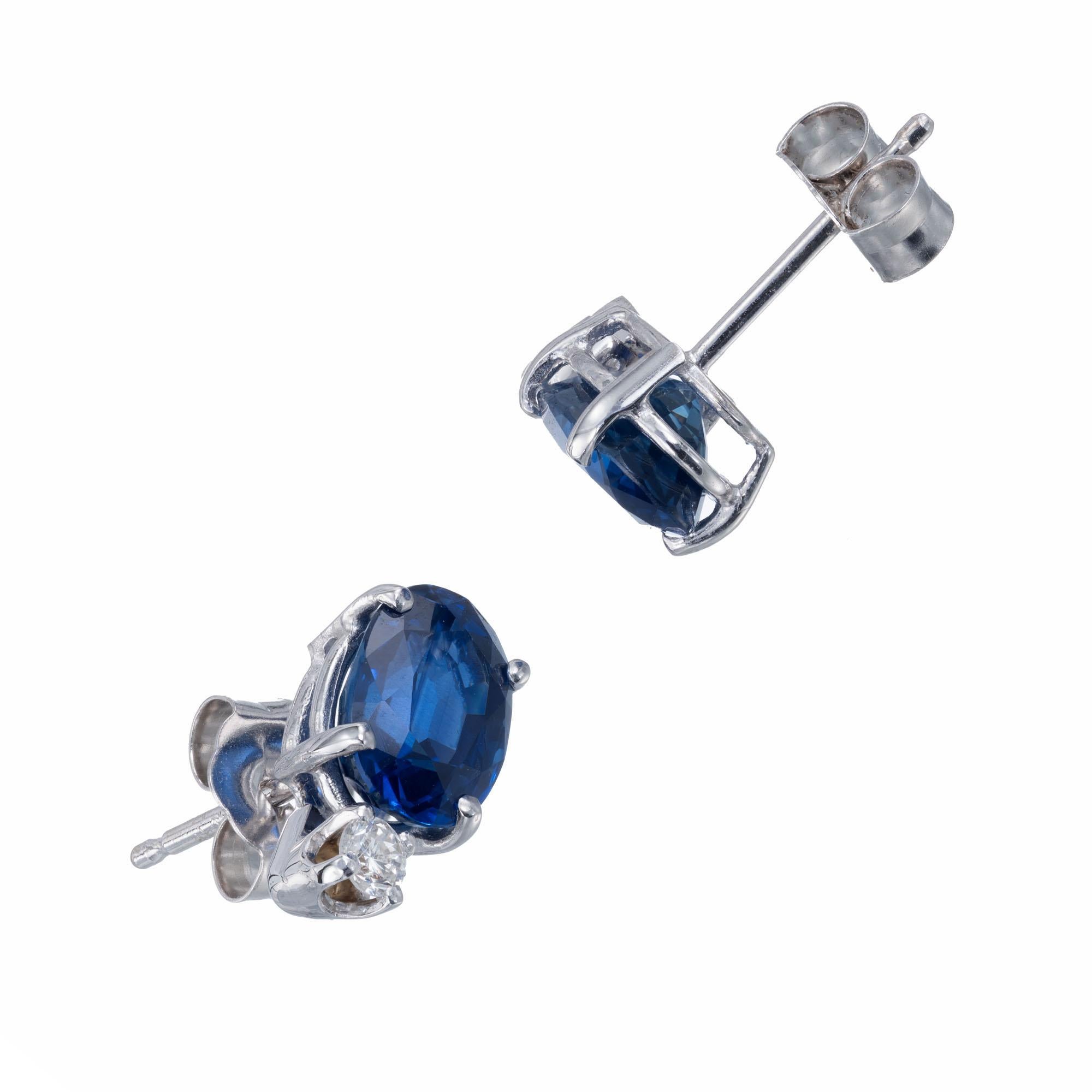 Women's Peter Suchy GIA Certified 2.71 Carat Blue Sapphire Diamond White Gold Earrings
