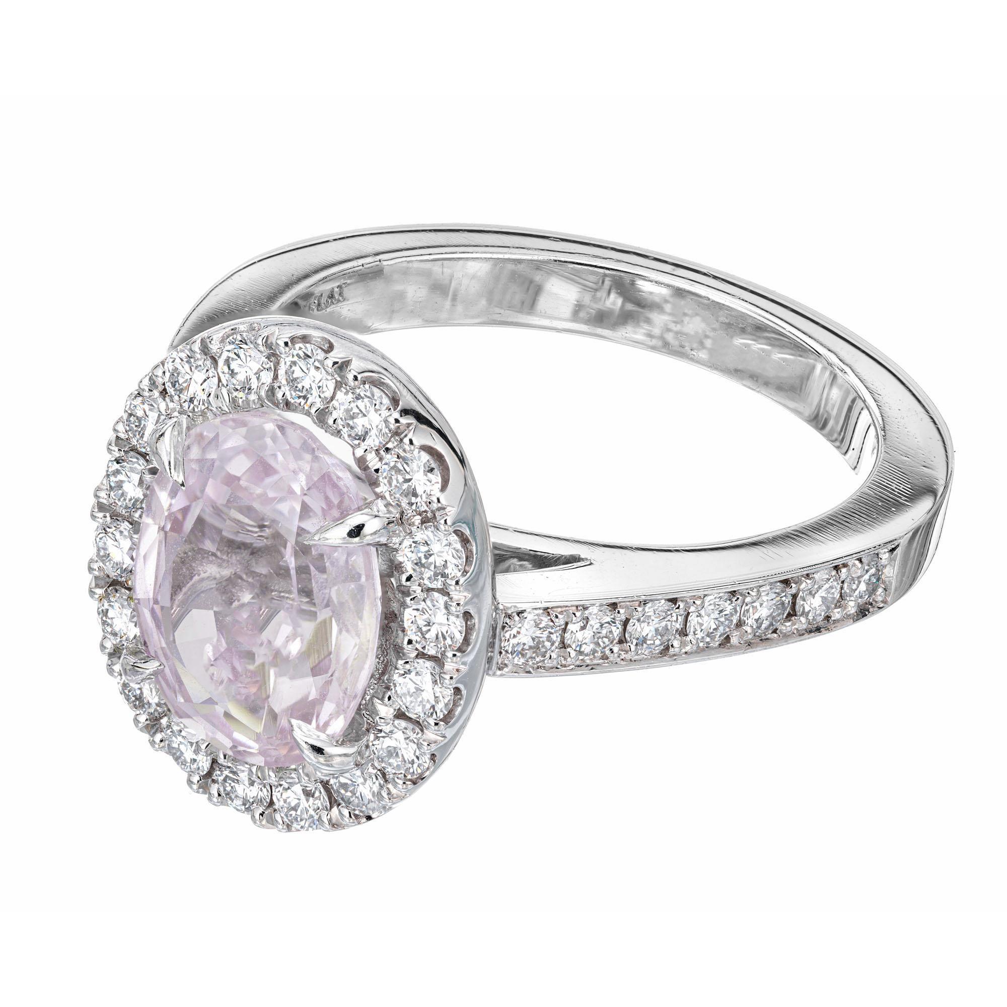 Peter Suchy GIA 2.74 Carat Oval Pink Sapphire Diamond Halo Platinum Ring In New Condition For Sale In Stamford, CT
