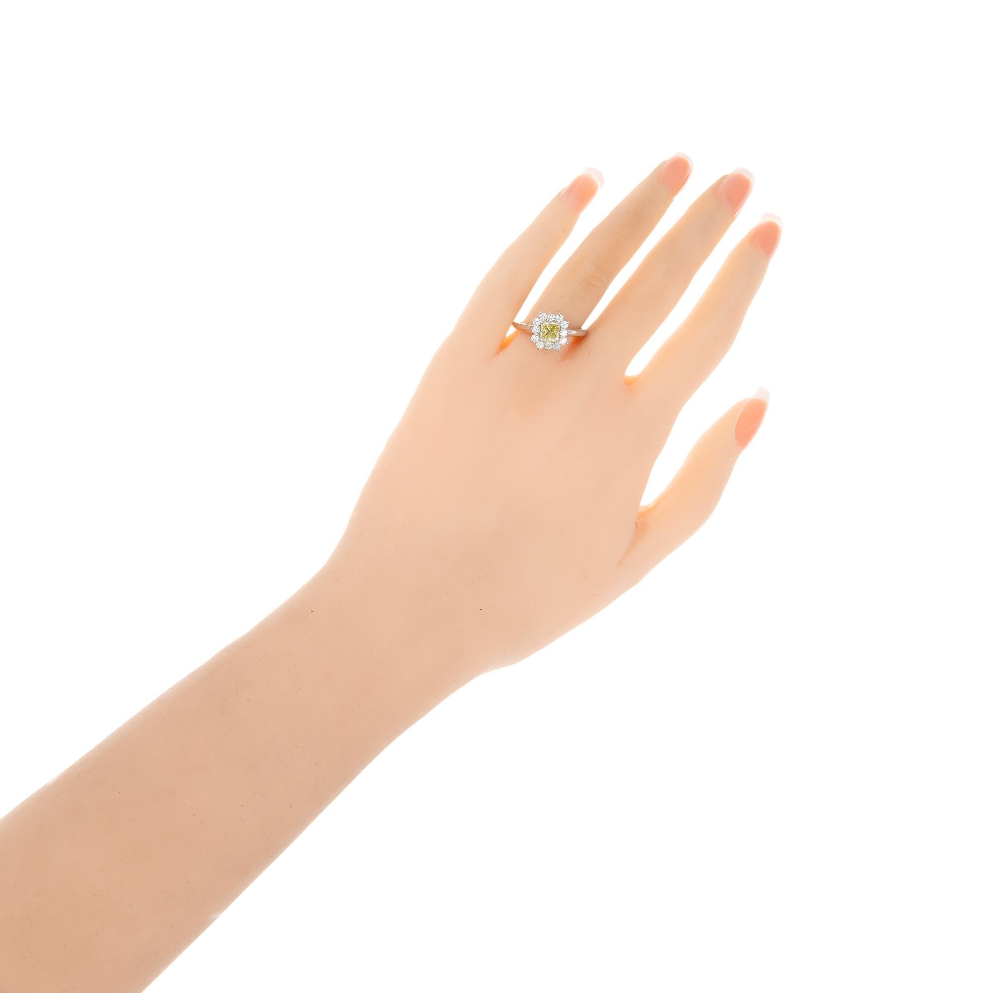 Peter Suchy Bague de fiançailles en platine avec diamant jaune de 0,55 carat certifié GIA en vente 1