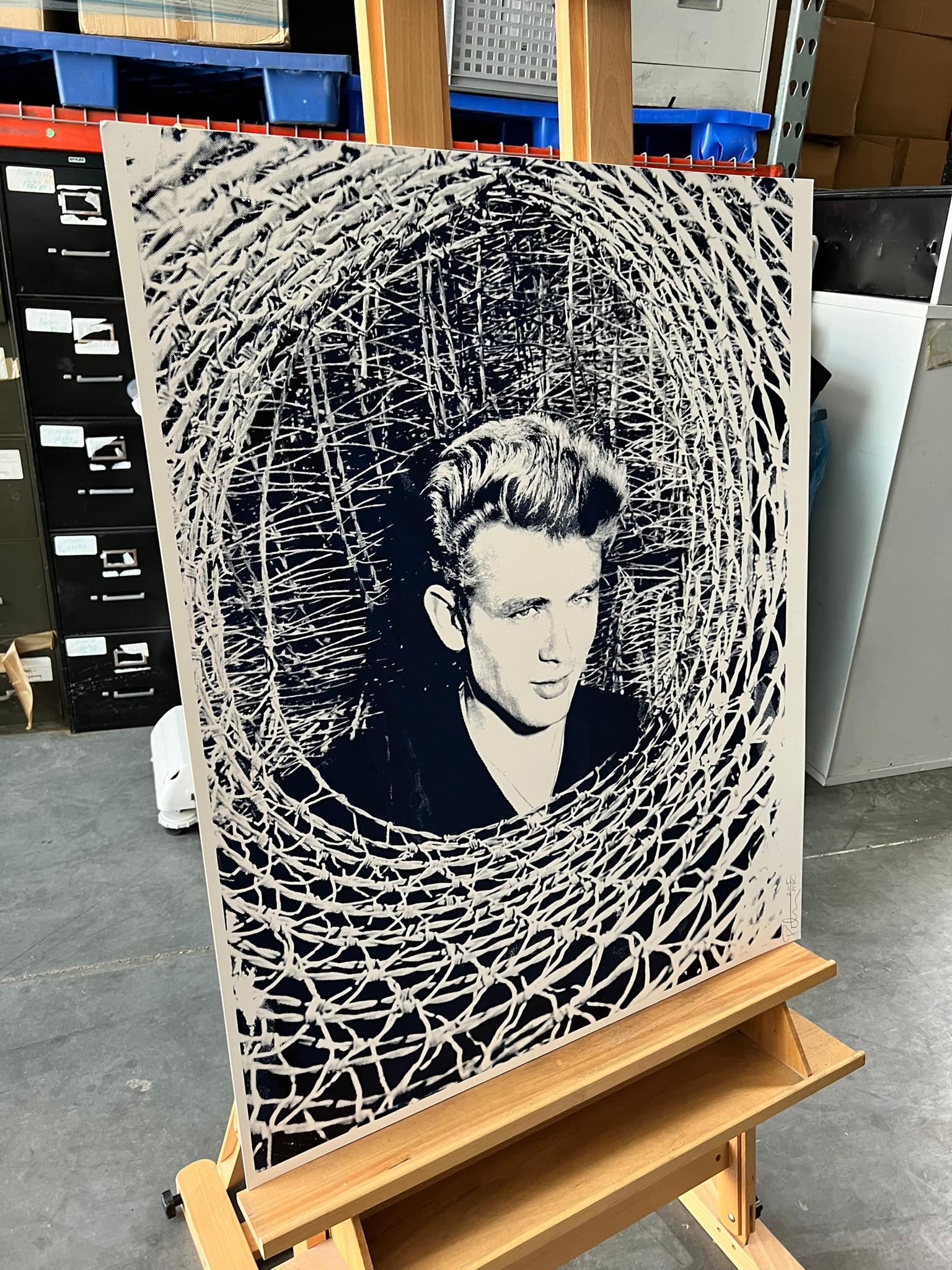James Dean: The Rebel - Peter Tunney Signed For Sale 5
