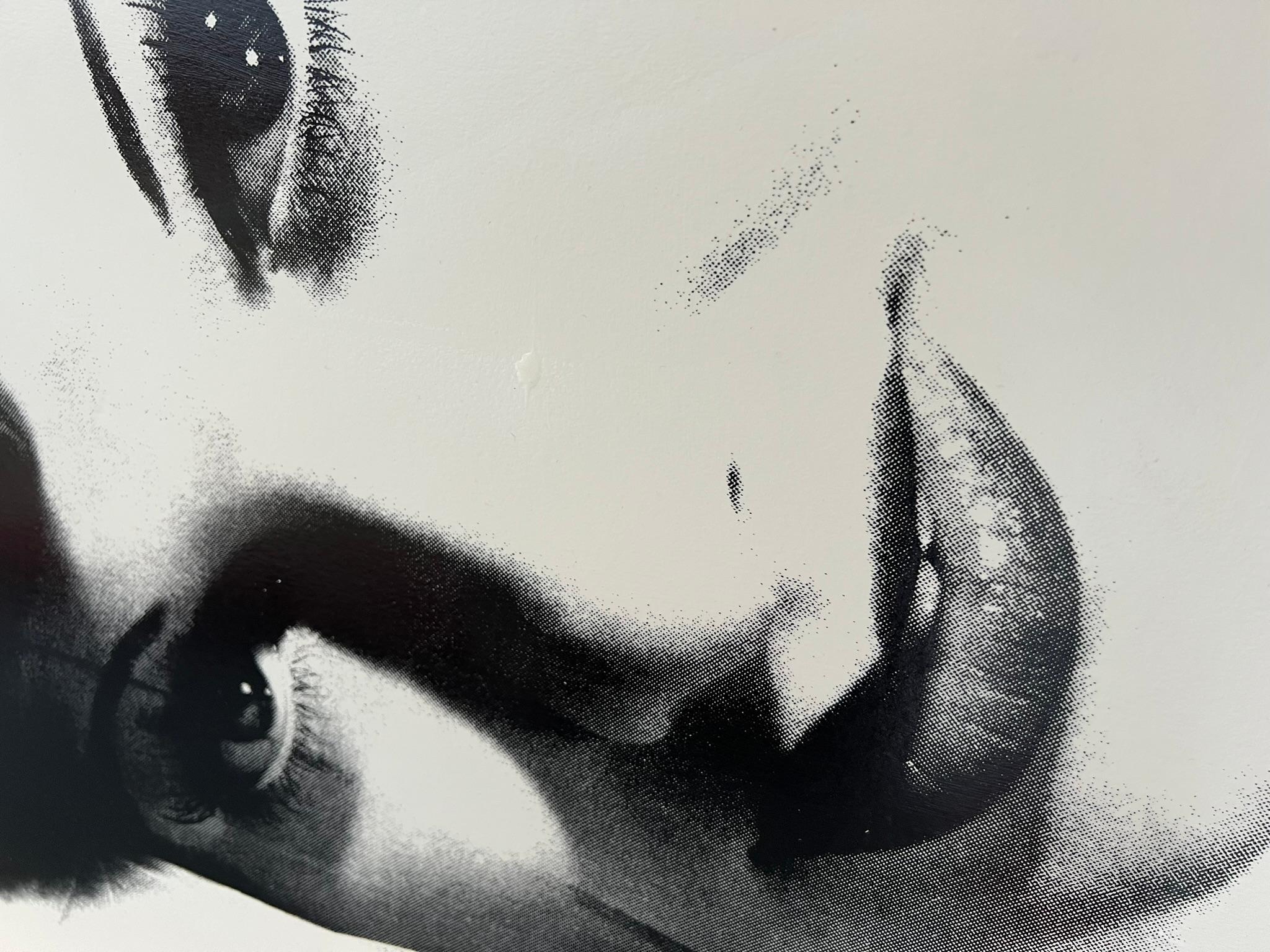 Lucille Ball on Silk - Peter Tunney Signed For Sale 2