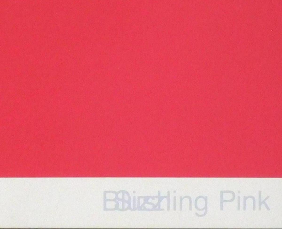 Peter Wegner Painting, 2002, Blushing Pink/Sizzling Pink 2