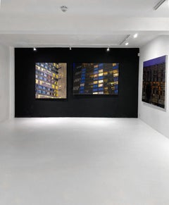 'GOLDFINGER SIX (avec la peinture écaillée Le Corbusier de l'atelier d'appartement)