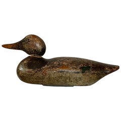 Antique Peterson Mallard Hen Decoy, circa 1880