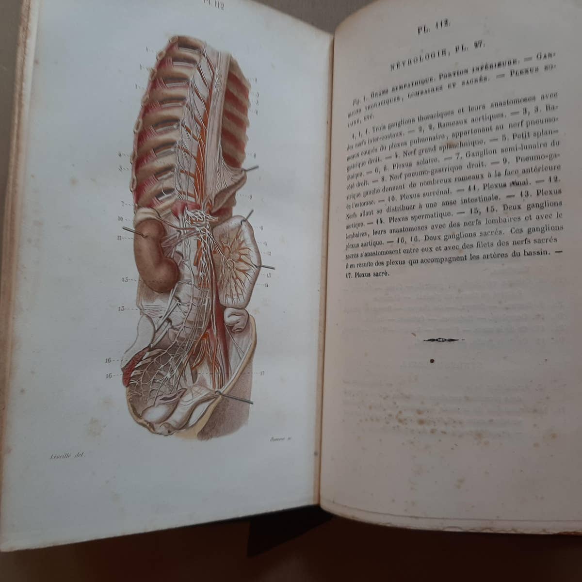 Petit Atlas Complet d'Anatomie Descriptive Du Corps Humain, 1879