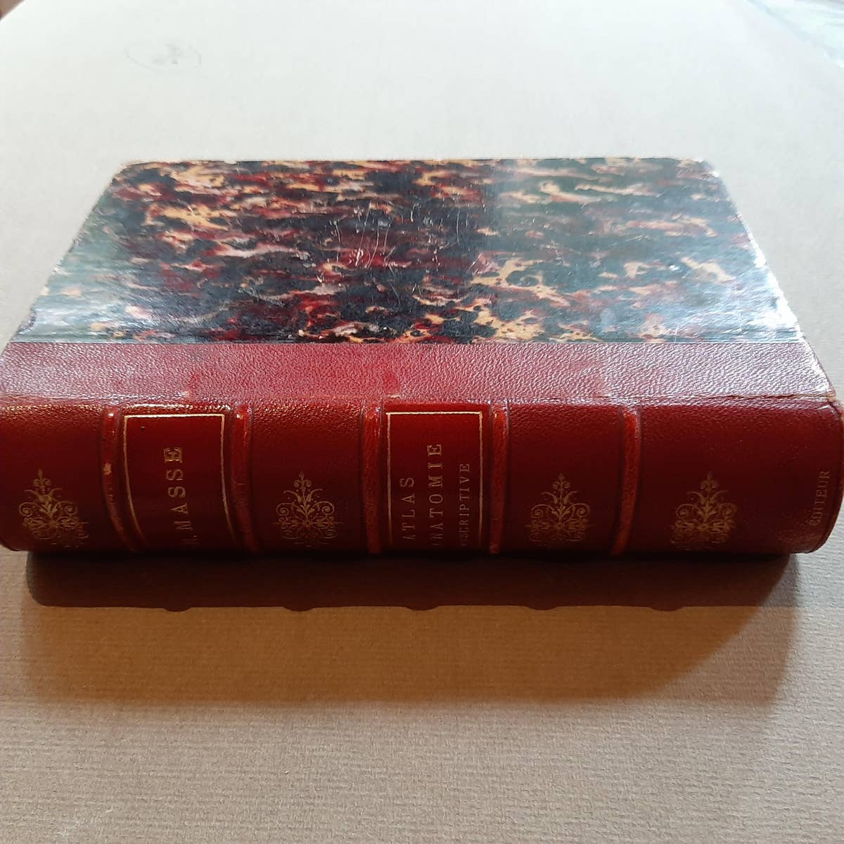 Petit Atlas Complet d'Anatomie Descriptive Du Corps Humain, 1879