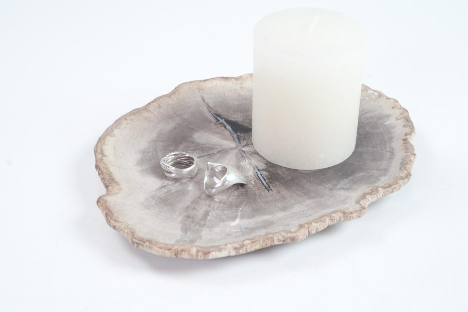 Petit petrified wooden plate or platter. Smooth sanded and polished on both sides. The soft anthracite / grey and beige tones paired with the scale make this an elegant and useful piece. The object still holds the organic and typically wooden tissue