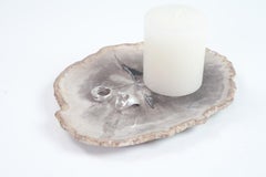 Petit Petrified Wood Plate in Beige and Hard Coal, Accessory of Organic Origin