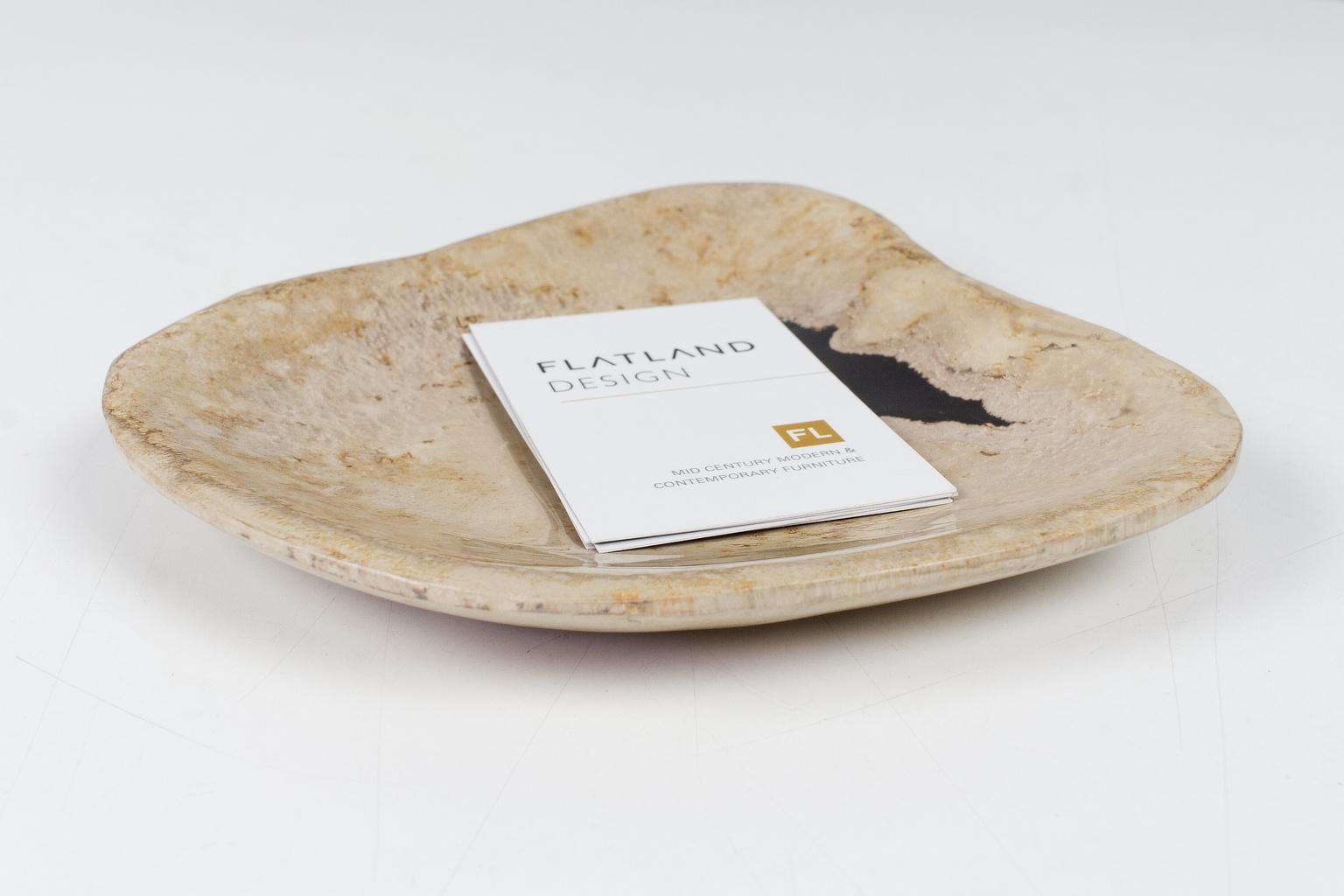 Organic Modern Petit Petrified Wooden Plate in beige, Ancient Object of Organic Origin