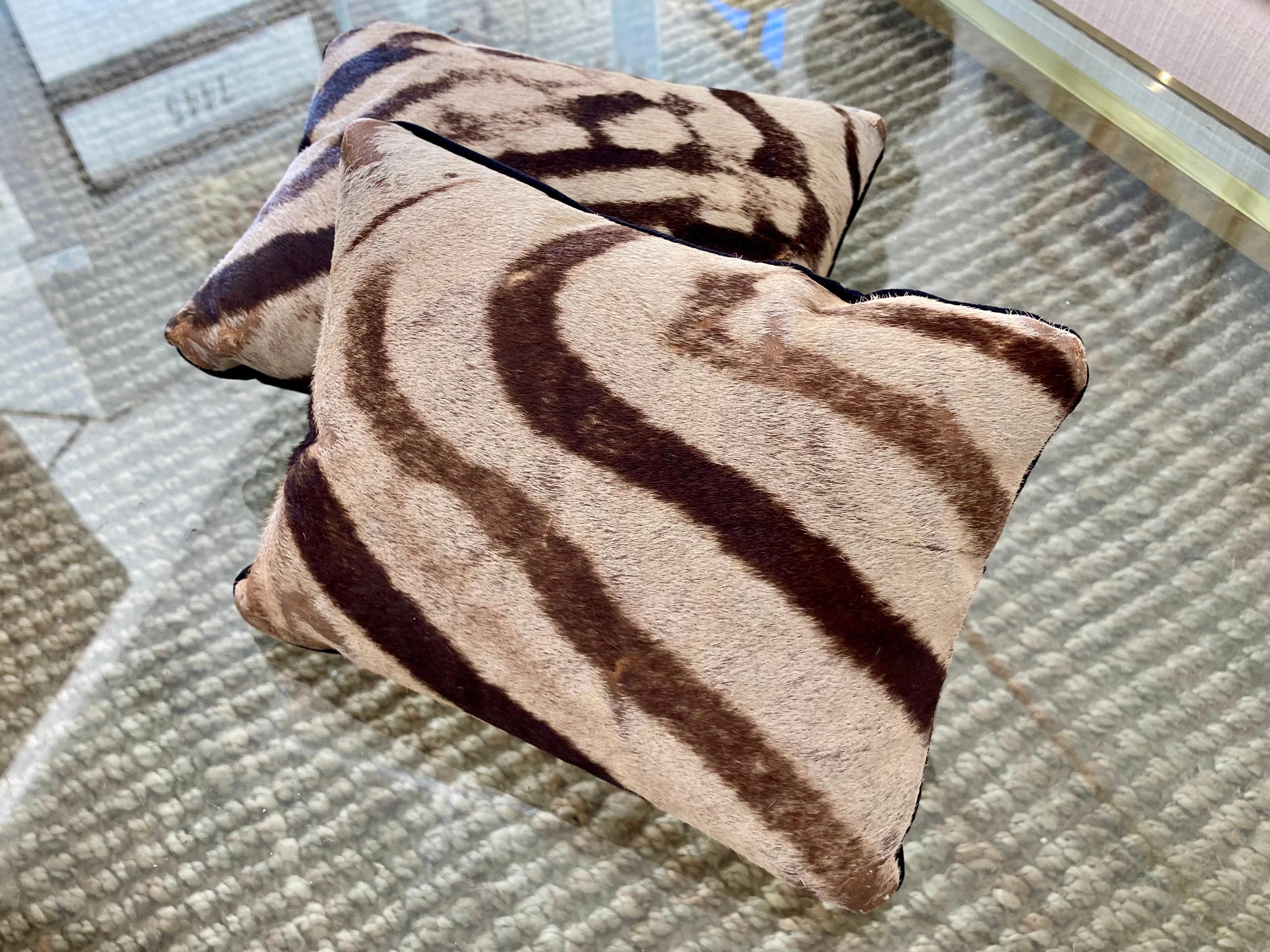 American Petit Zebra Pillows, a Pair
