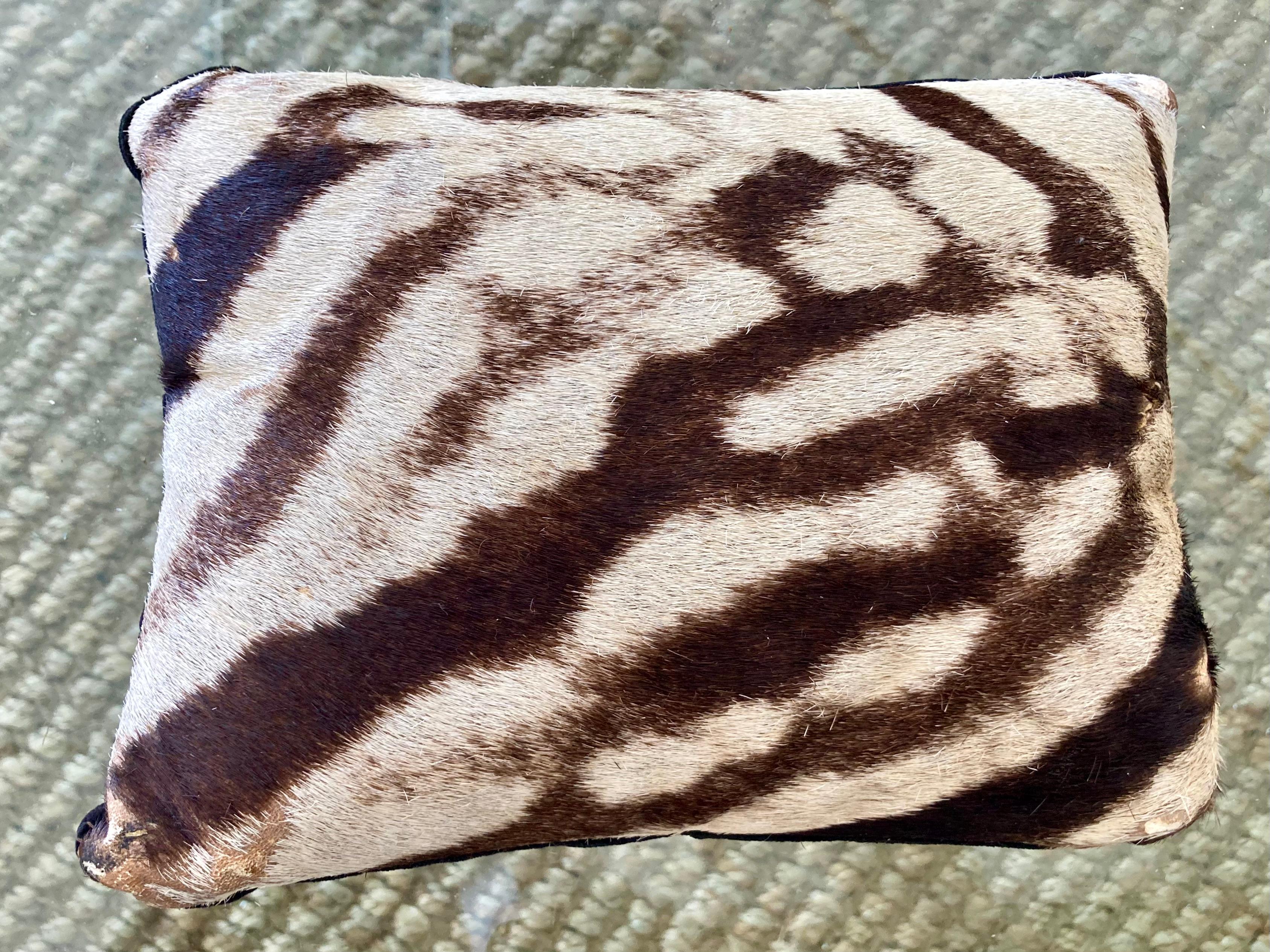 19th Century Petit Zebra Pillows, a Pair