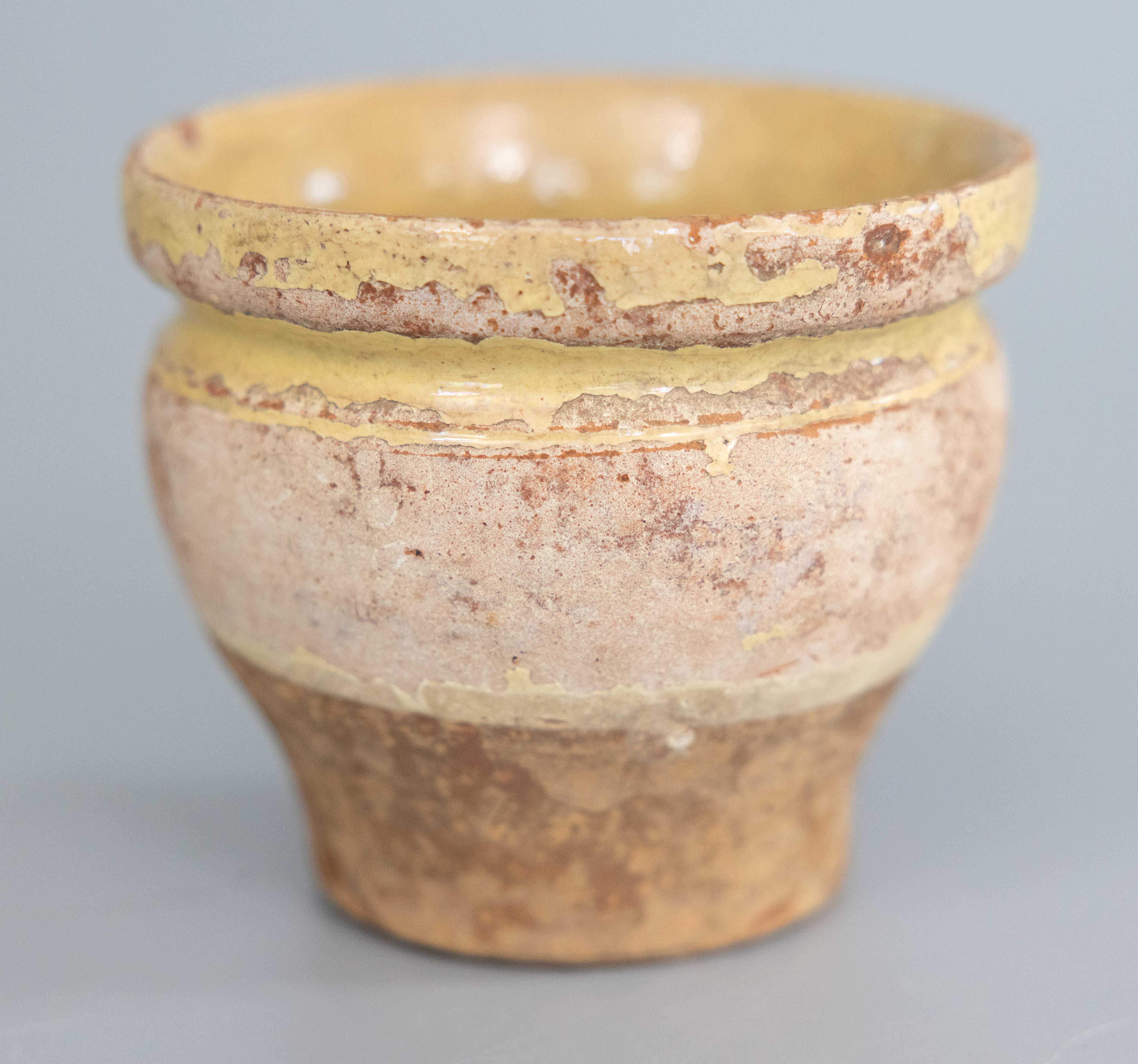 Rustic Petite 19th Century French Yellow Glazed Confit Pot For Sale