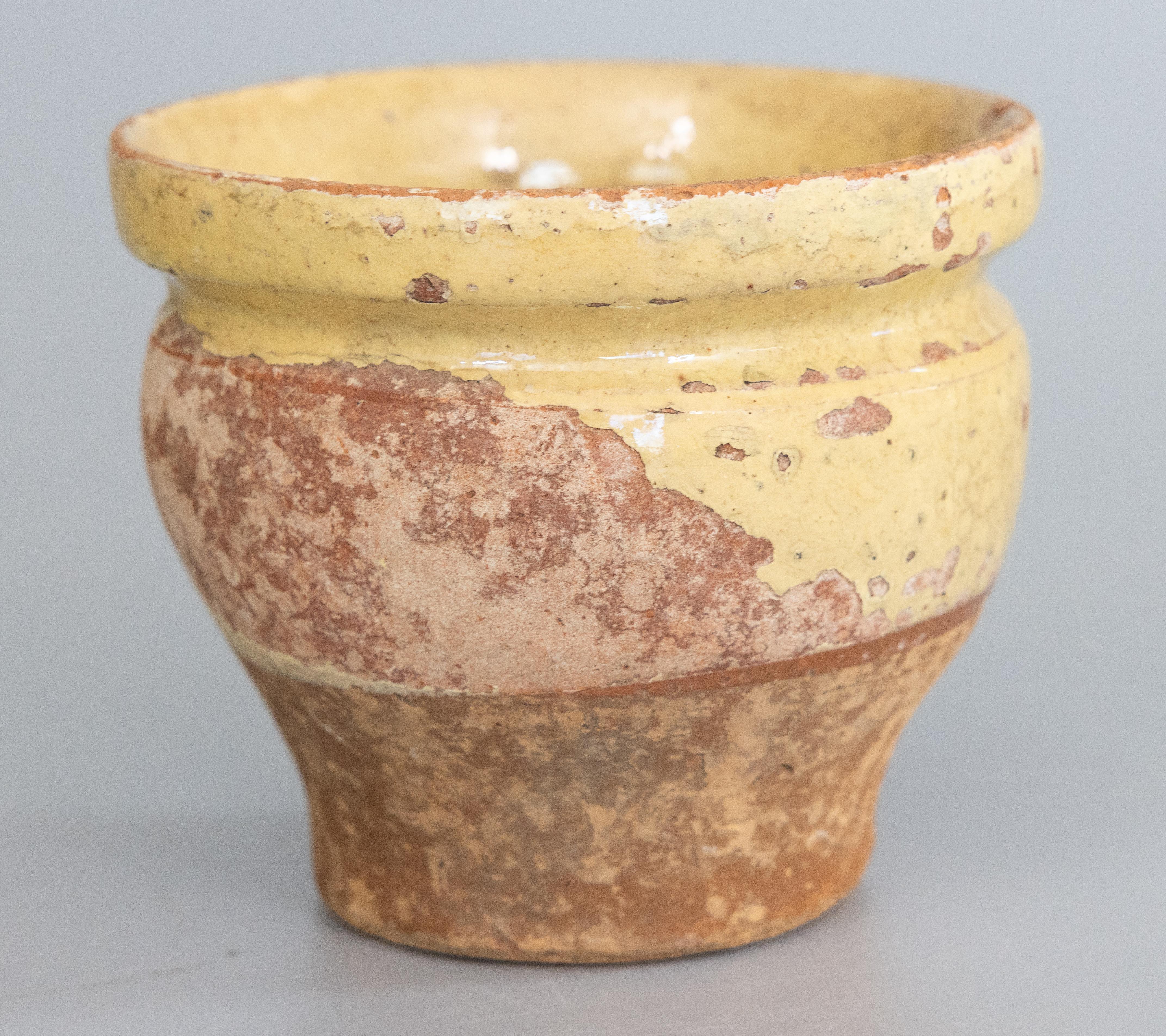 Fired Petite 19th Century French Yellow Glazed Confit Pot For Sale