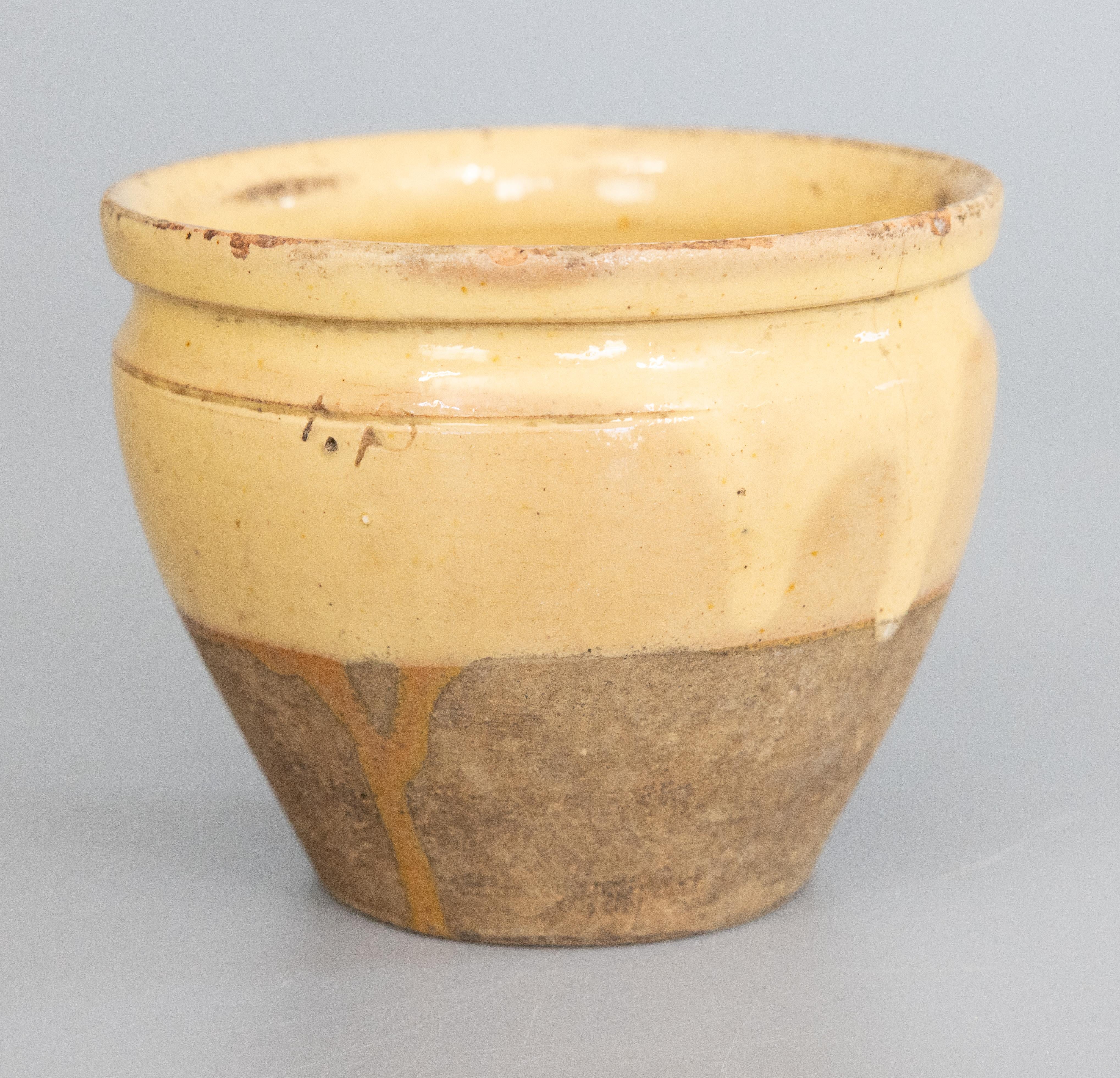 Un pot à confit rustique émaillé, jeté à la main, qui provient d'une maison en France.  Il date du 19e siècle et montre magnifiquement son âge avec quelques grignotages et une usure de la glaçure. Conçue à l'origine pour être utilisée comme pot à