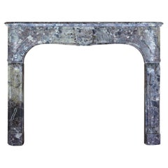 Petite and Fine European Antique Fireplace Surround for Timeless Interior