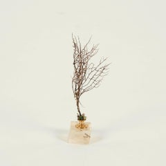 Petite Black Coral Sea Fan Sculpture