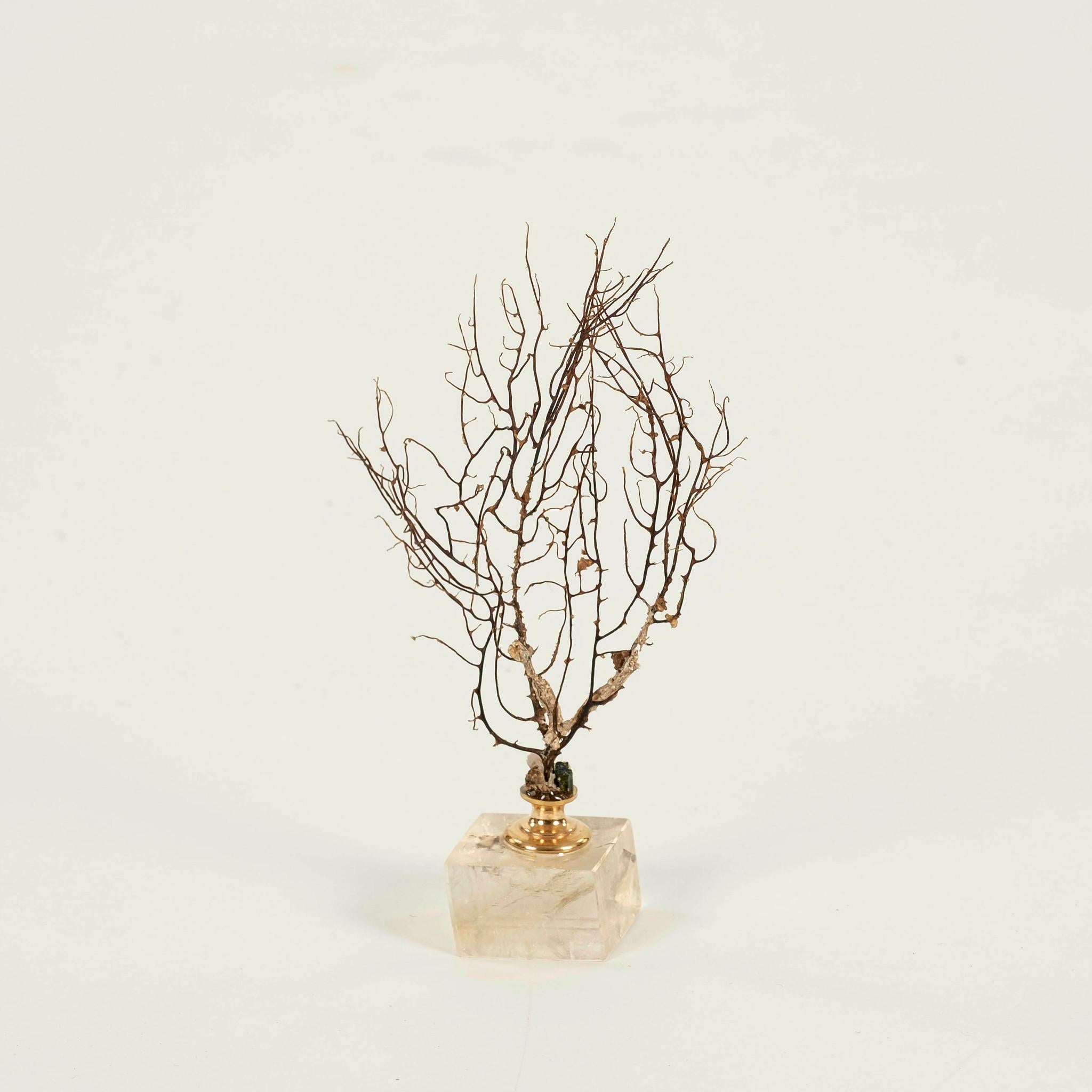 Renaissance Petite sculpture éventail de mer en corail noir en vente