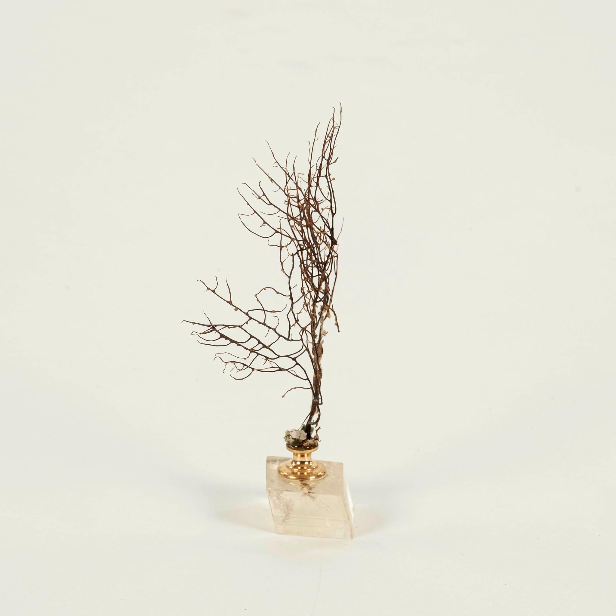 Petite sculpture éventail de mer en corail noir Bon état - En vente à Houston, TX