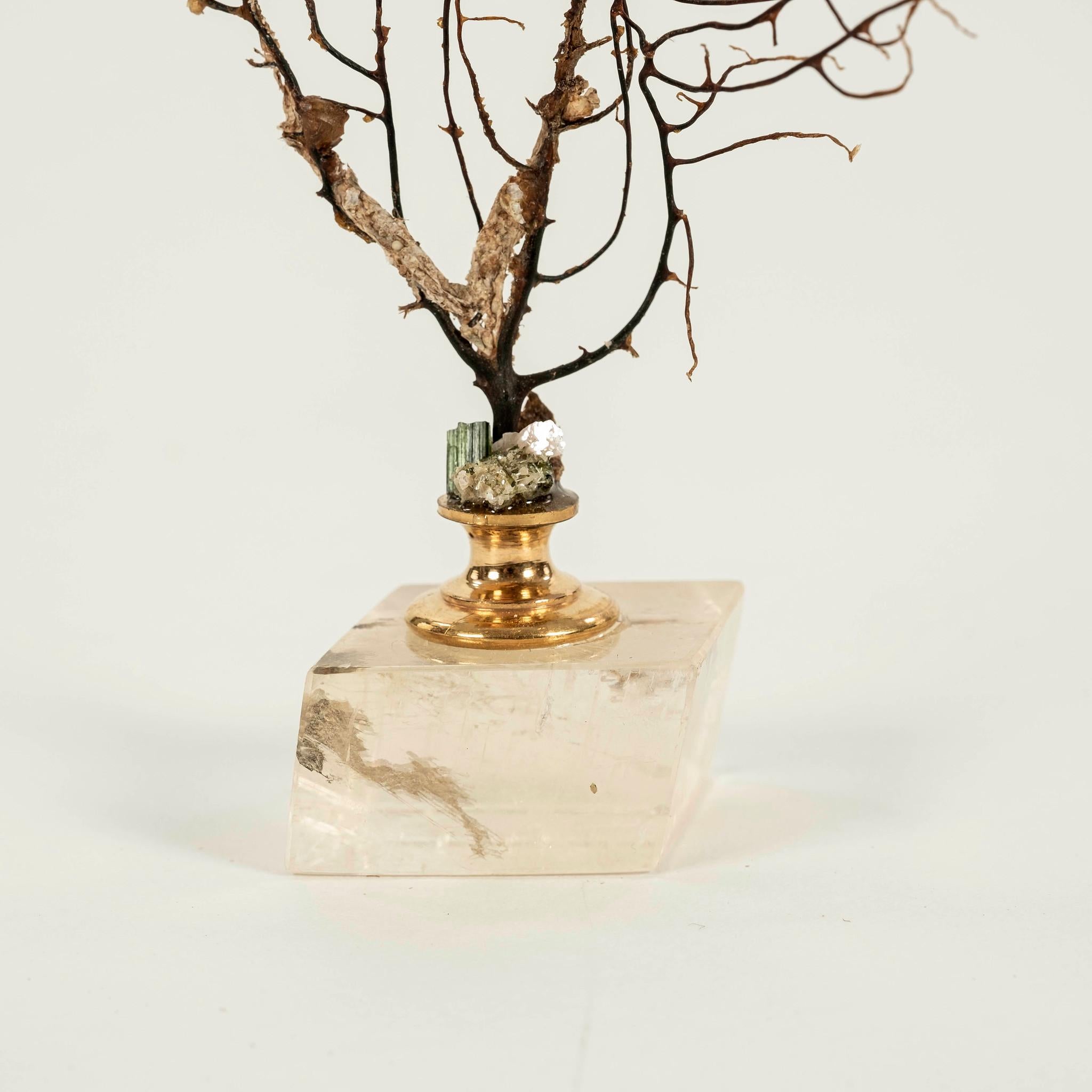 XXIe siècle et contemporain Petite sculpture éventail de mer en corail noir en vente