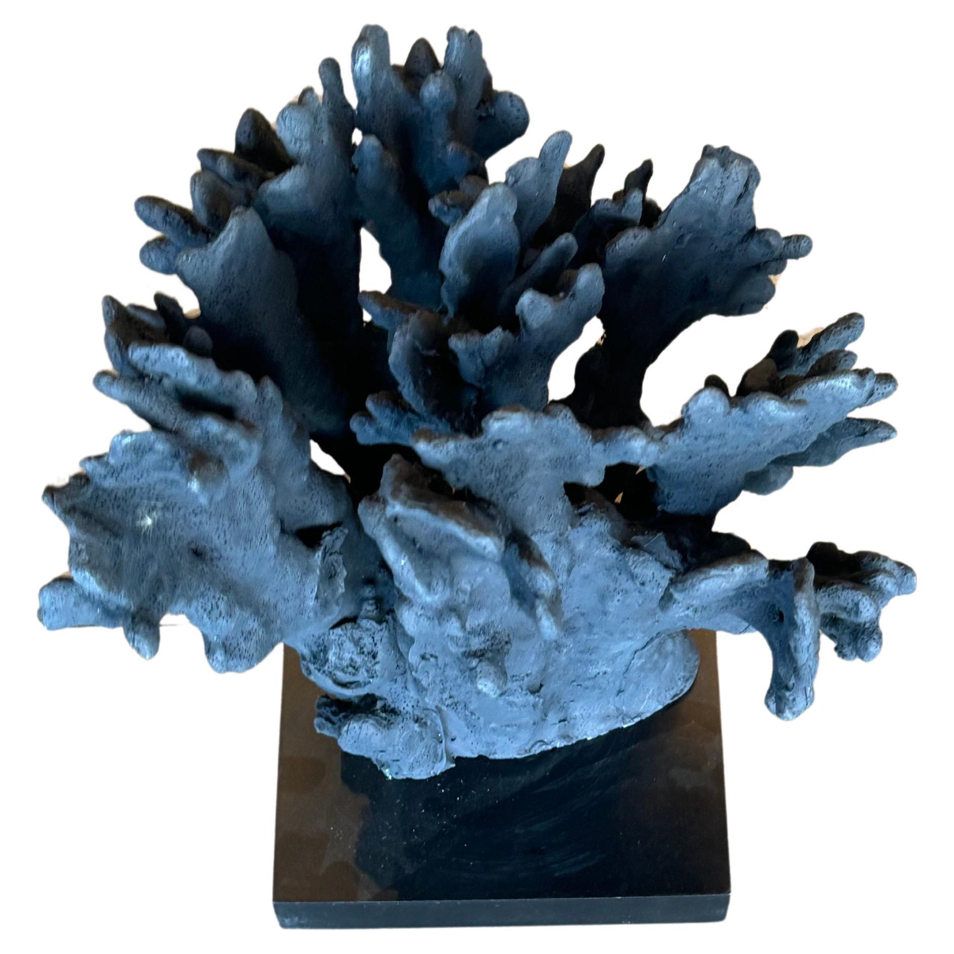 Black Parisian Coral Sourced from Paris by Martyn Lawrence Bullard
Ideal for decorative use, bookends, or as a case piece