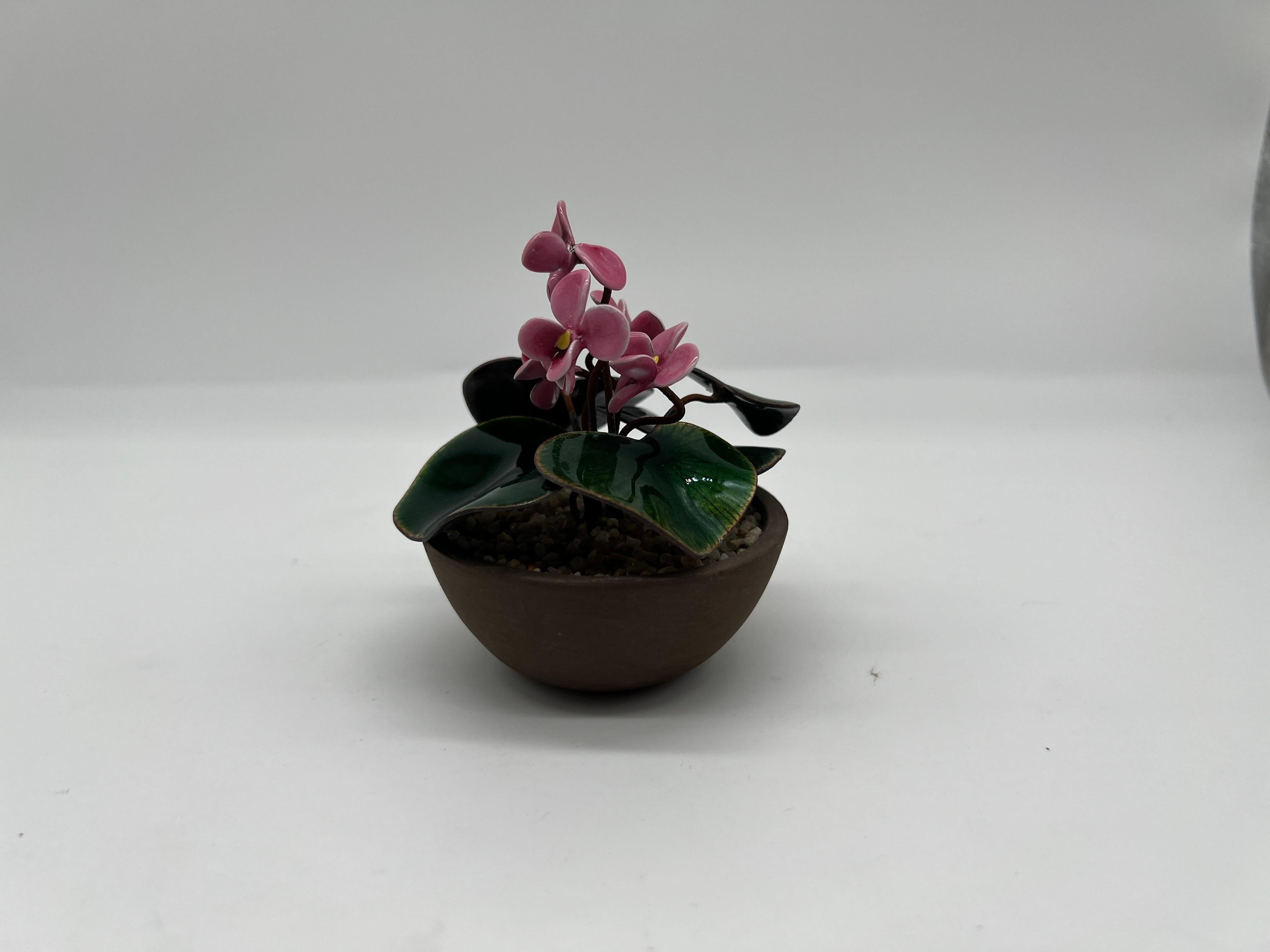 Petite Bovano of Cheshire Emaille-Blumen-Deko-Pflanzgefäß Cyclamen Persicum aus Cheshire  (Amerikanische Klassik) im Angebot