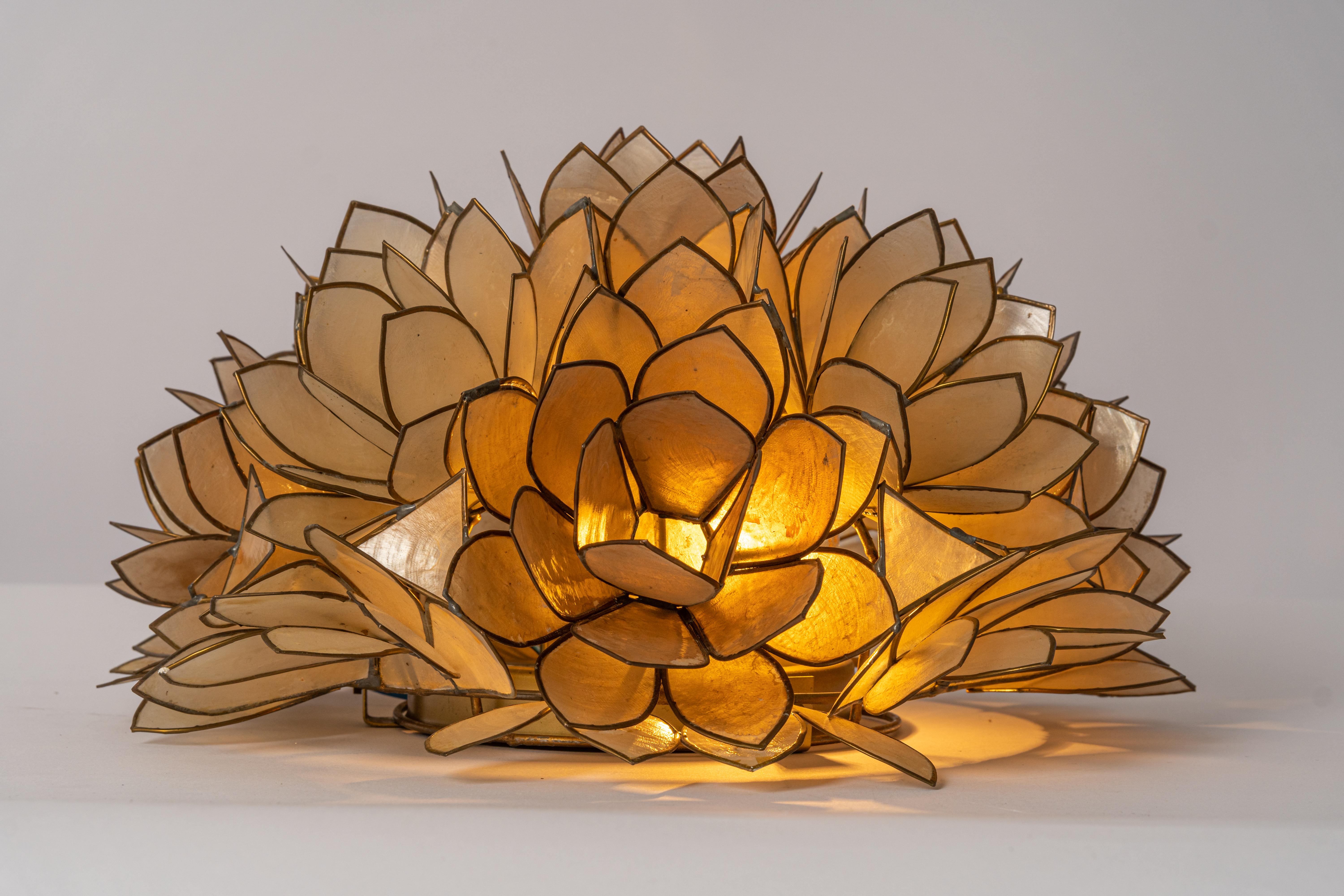 Petite Capiz Shell Lotus Ball Ceiling or Wall Light, Germany, 1960s 1