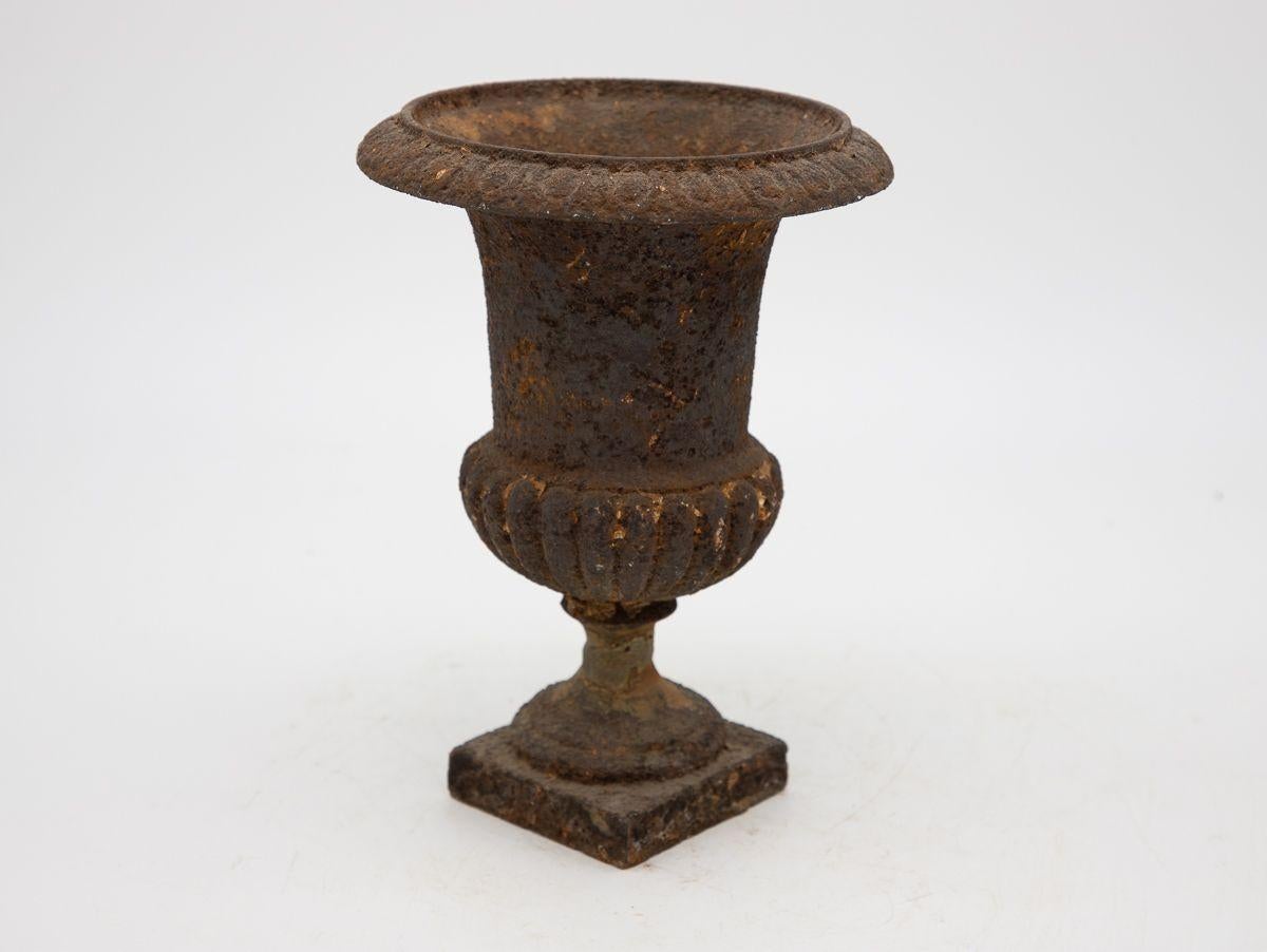 French Petite Cast Iron Urn For Sale