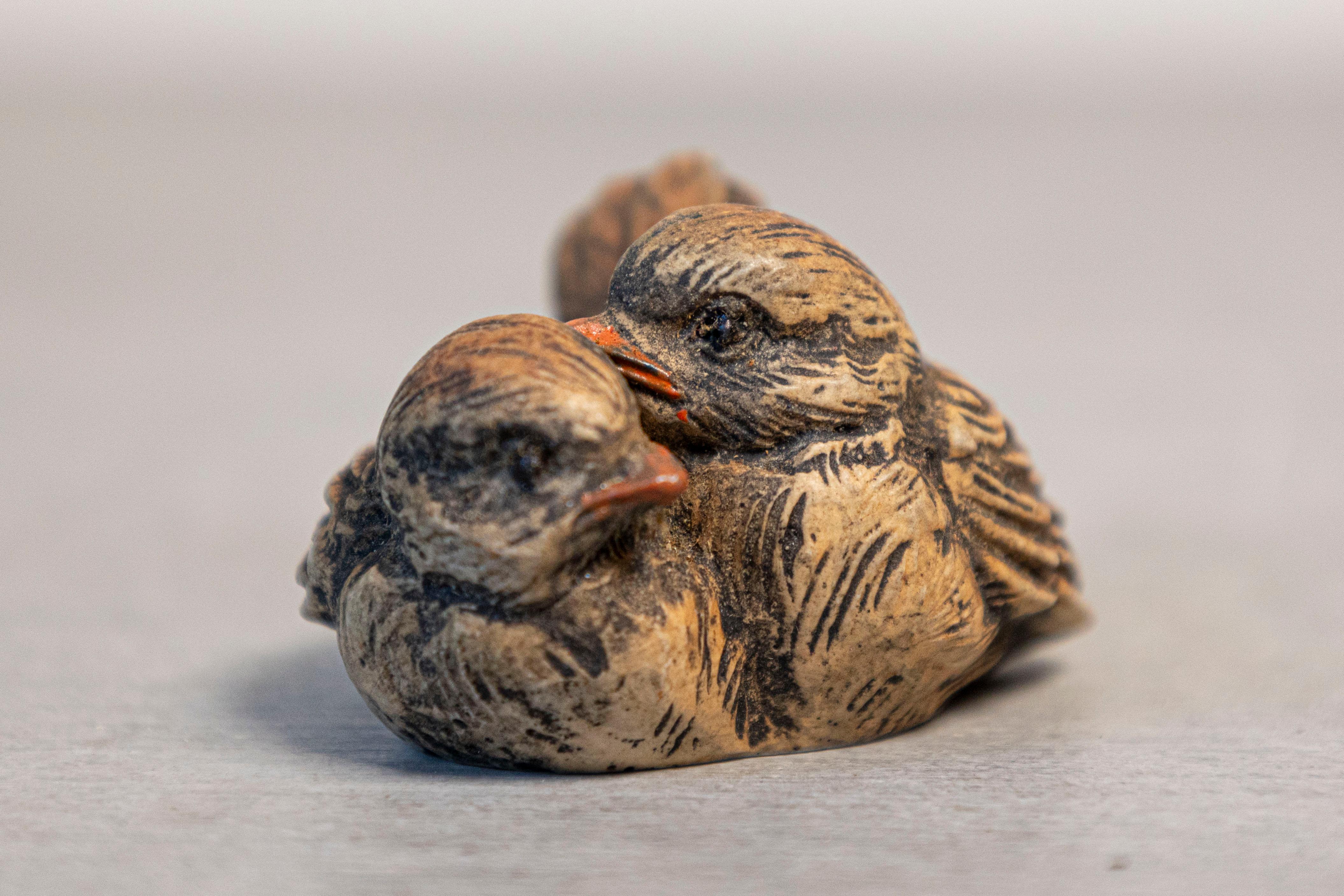 Petite English Victorian Period 19th Century Carved Wooden Bird Sculpted Group For Sale 4