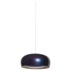 PETITE FRITURE Brush 35, Pendant, Beetle, Designed by Pierre Charrie