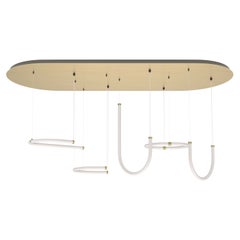 Petite Friture Unseen Quintuple Pendant Light System in Brass Transluscent