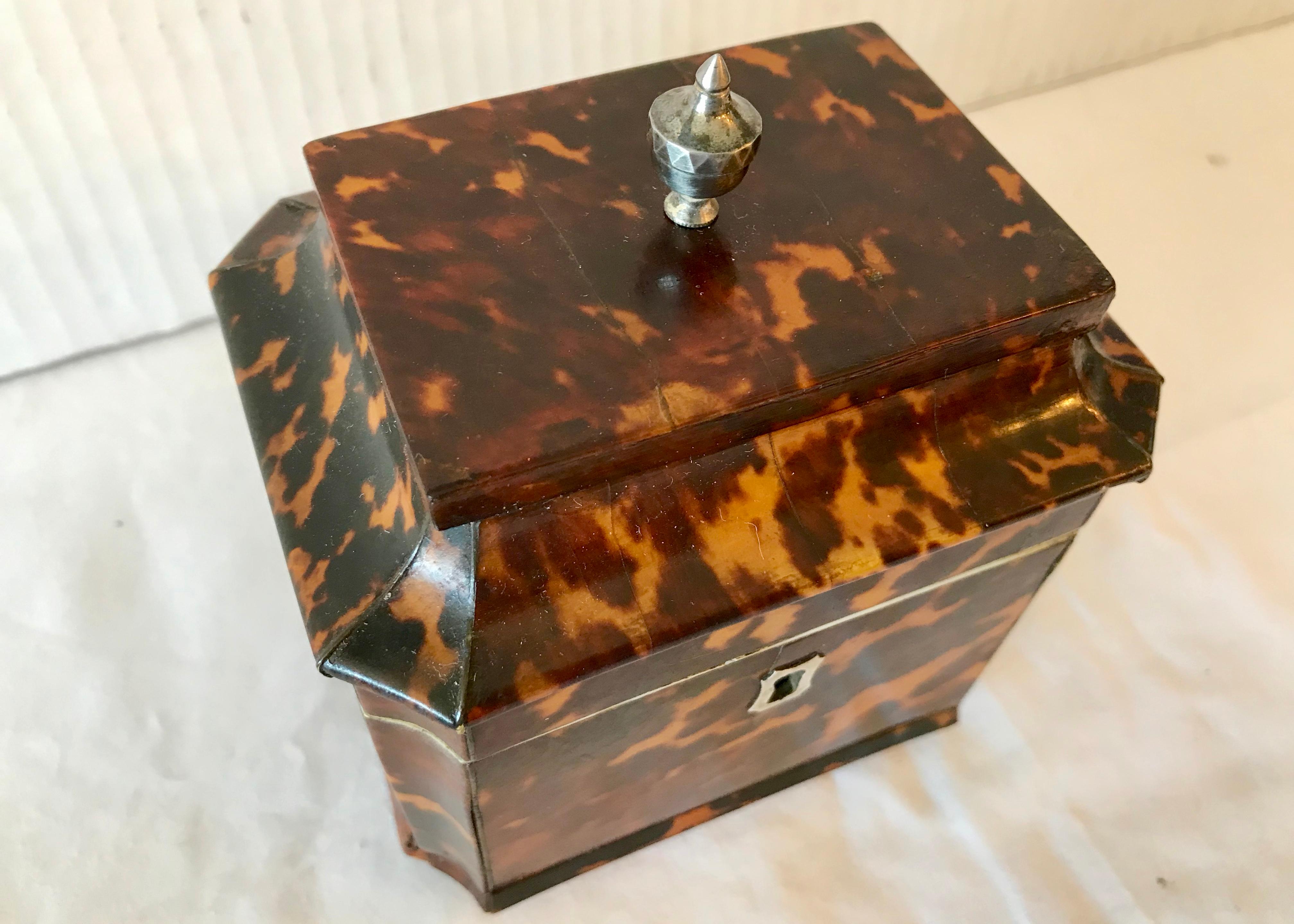 Petite Georgian Tea Caddy 2