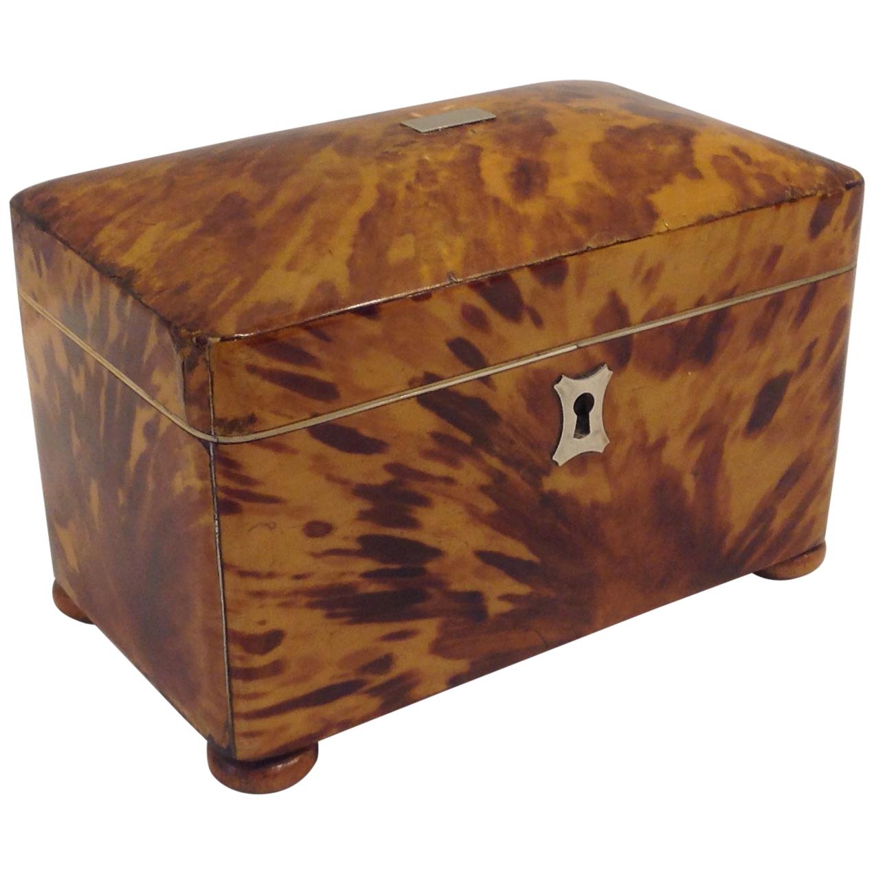 Tea Caddy Box at 1stdibs
