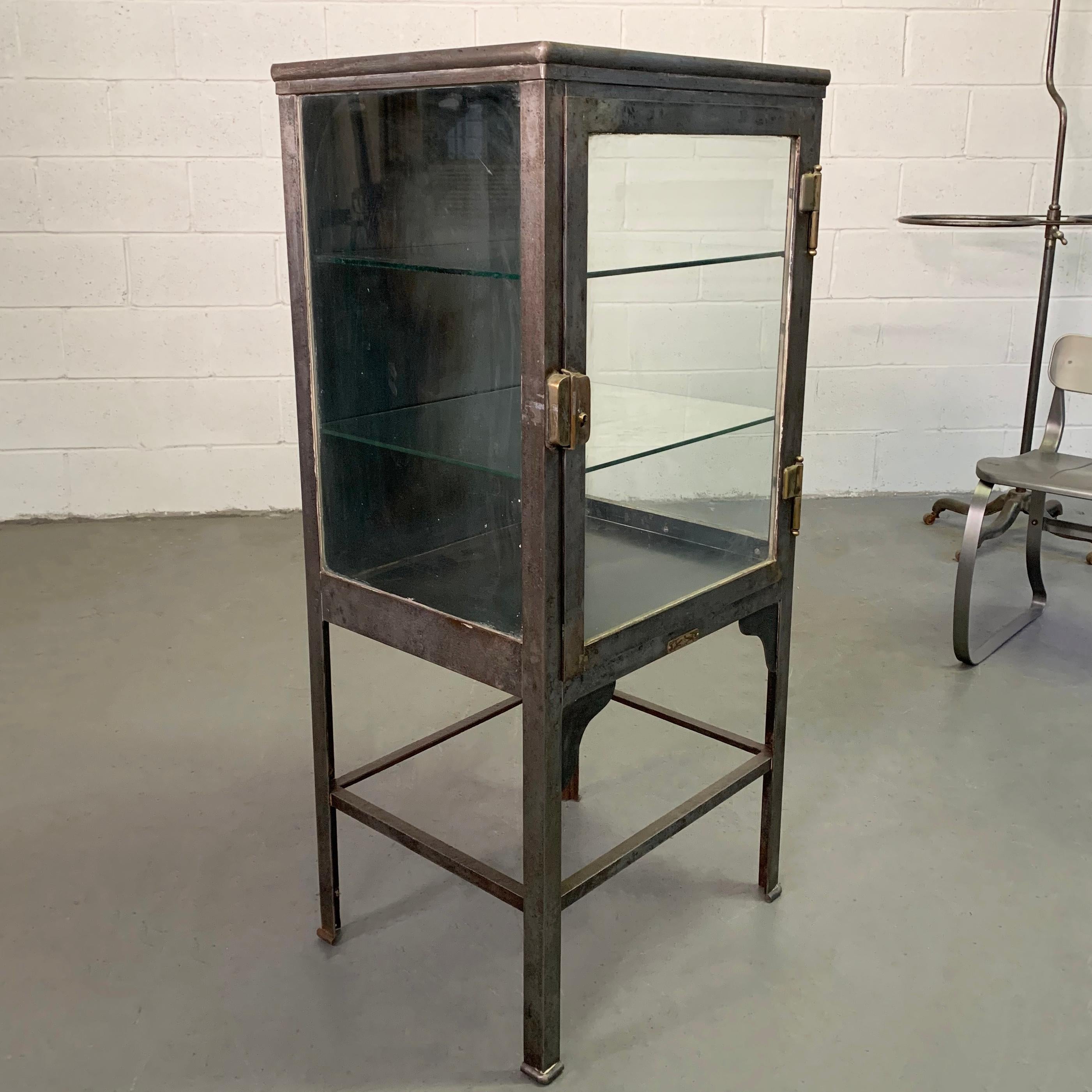 American Petite Industrial Brushed Steel Apothecary Cabinet Display Case