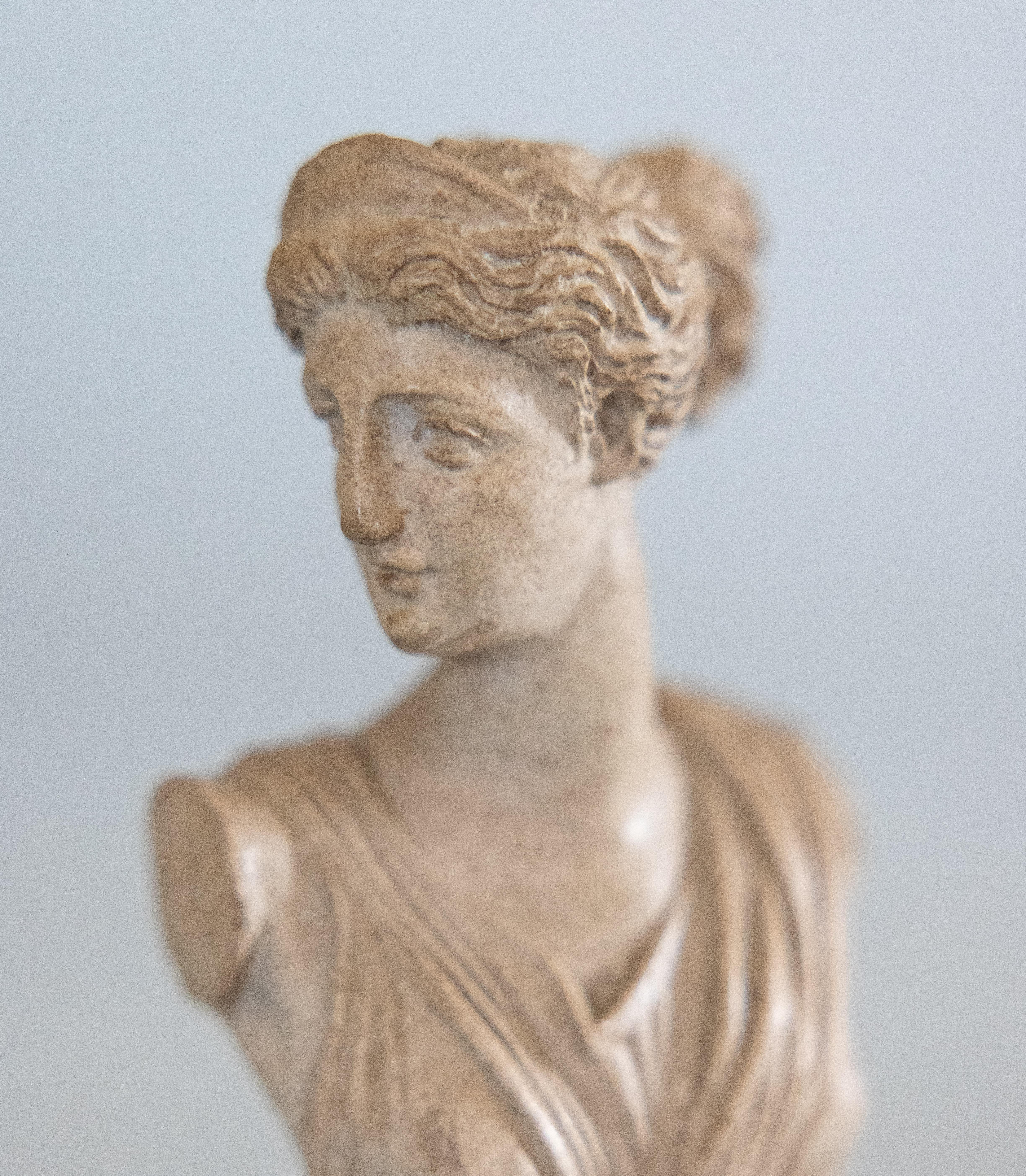 Petite Italian Grand Tour Souvenir Stone Bust of Diana of Versailles, c. 1880 2