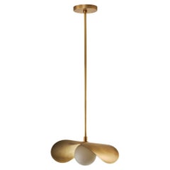 PETITE MONTERA Pendant, biomorphic form in Brass & Glass, Blueprint Lighting