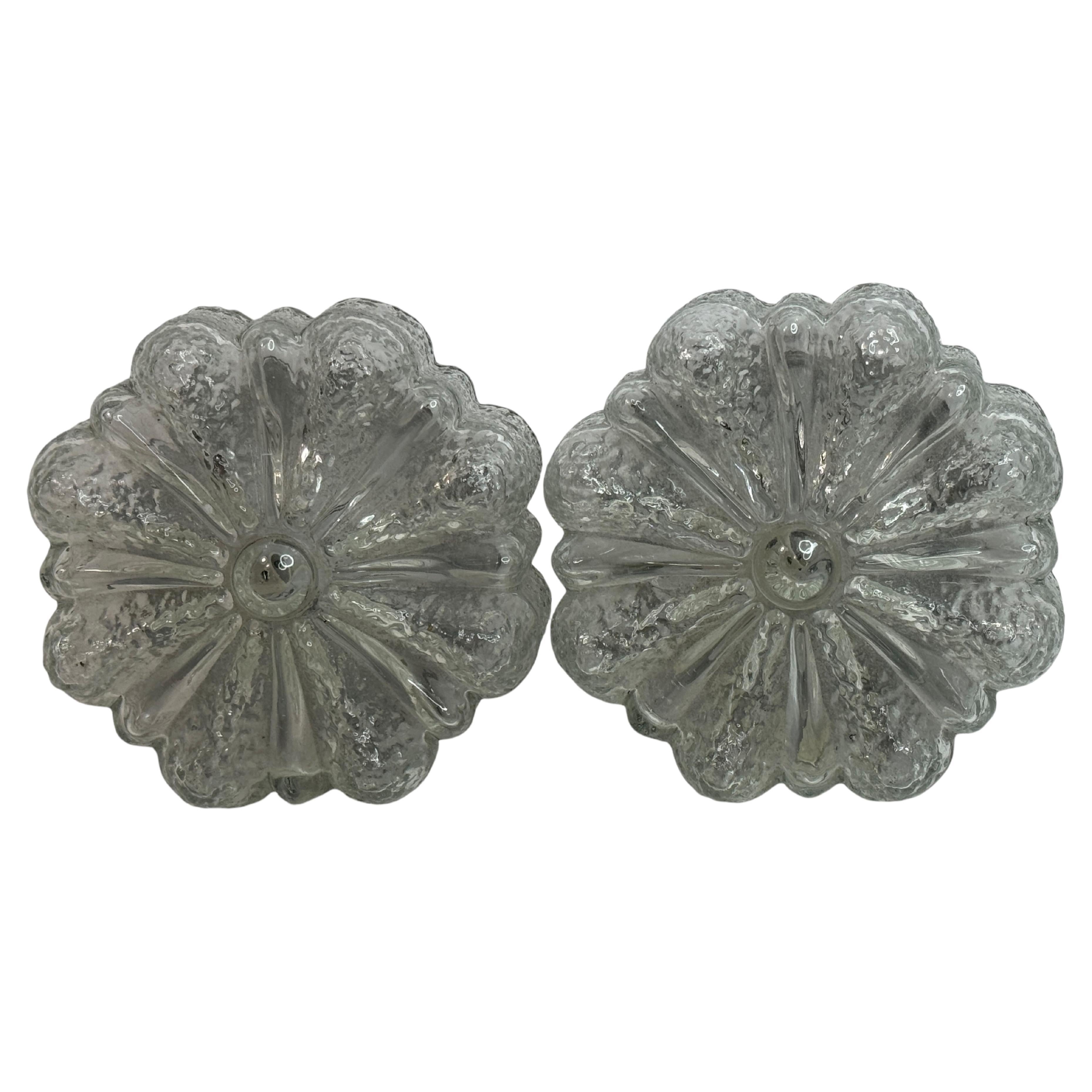 Petite paire de montures encastrées en verre transparent en forme de fleur, Allemagne, années 1960