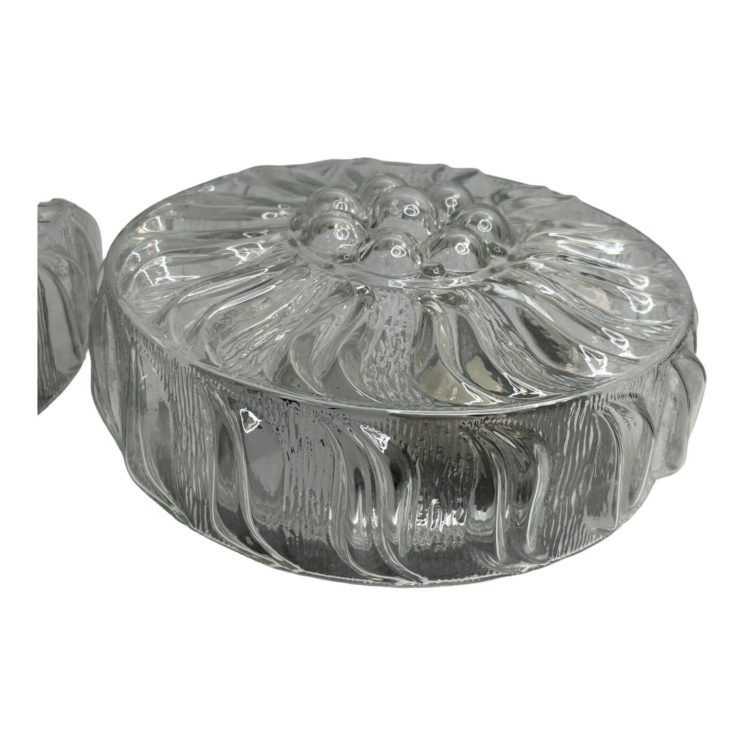 Metal 1 of 2 clear Glass Sunflower Pattern Circular Flush Mount Ceiling Light, 1970s For Sale