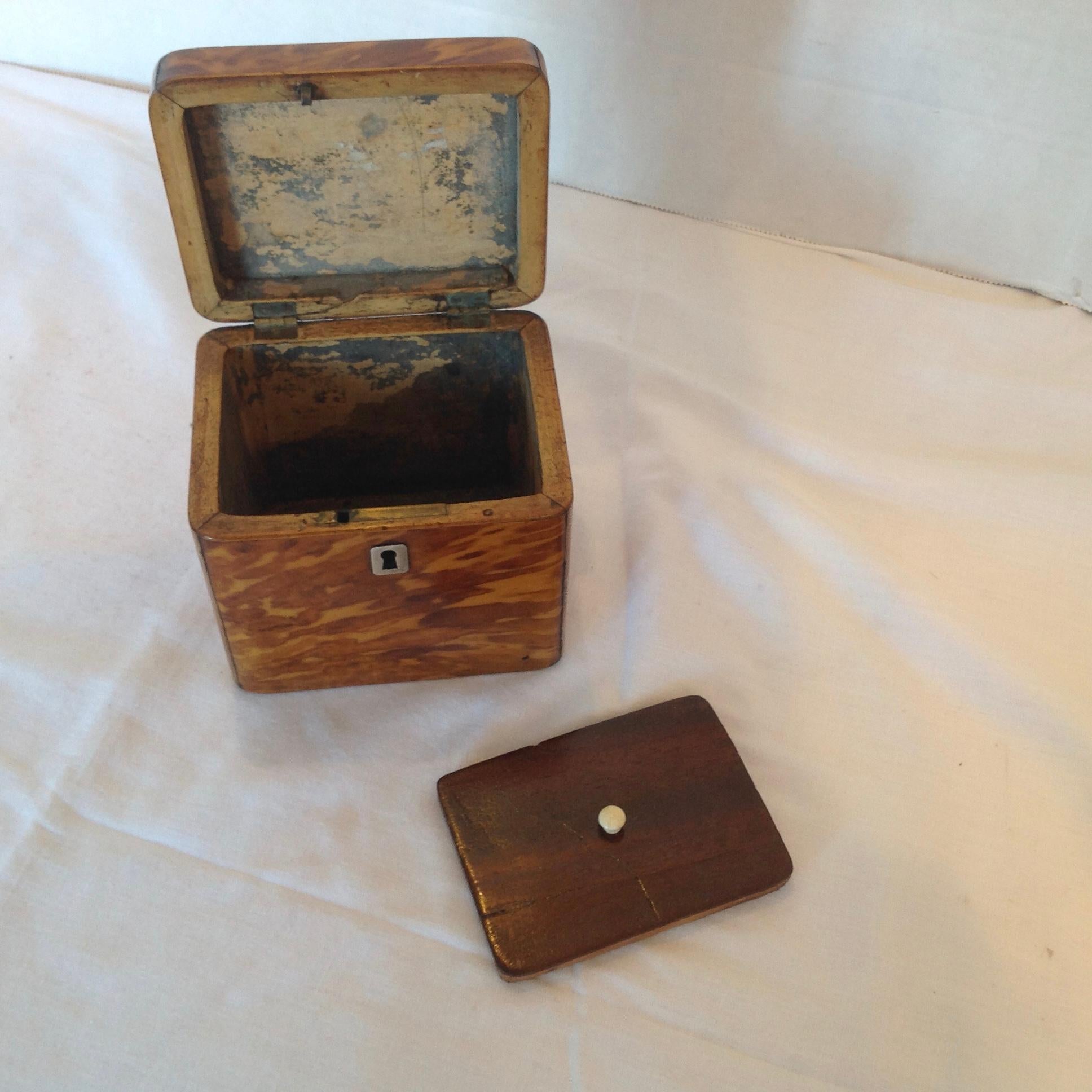 Petite Regency Tea Caddy 4