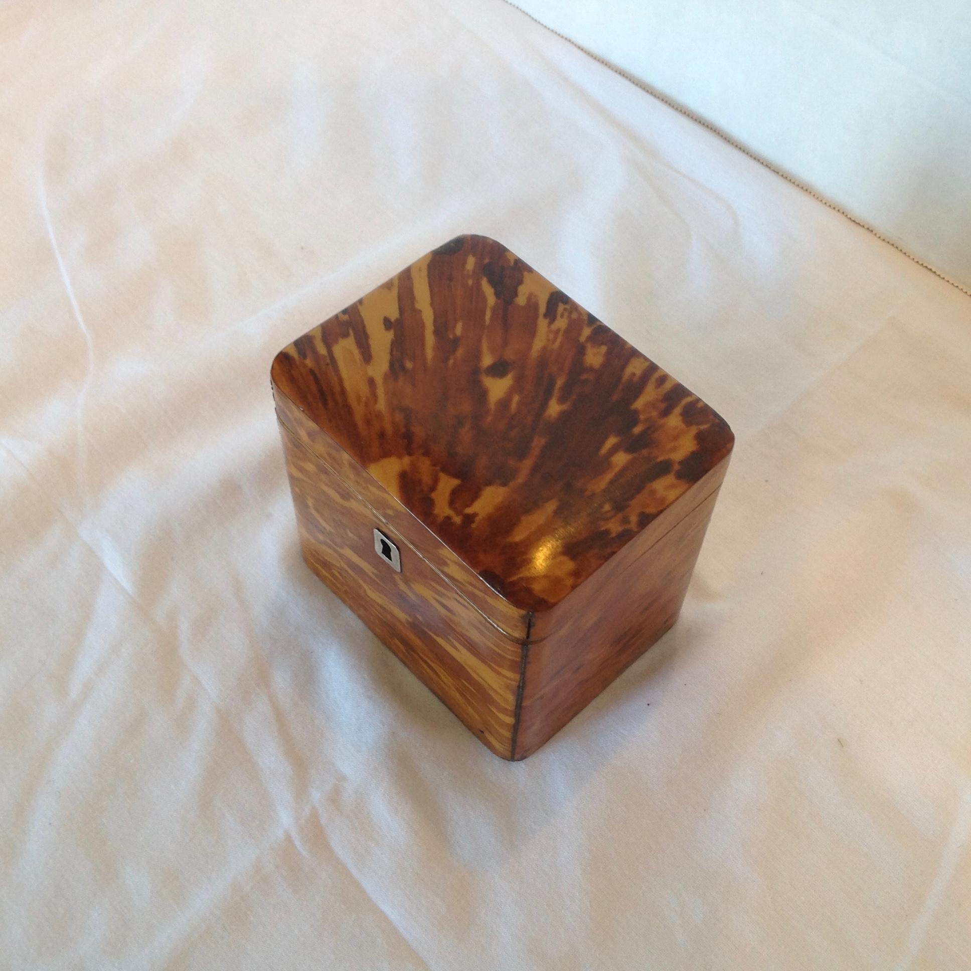 Petite Regency Tea Caddy 1