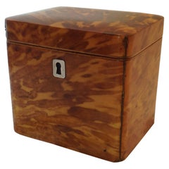 Petite Regency Tea Caddy Petite Regency Tea Caddy