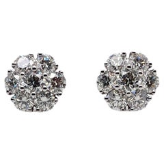 Round Diamond Cluster Studs in 14K White Gold