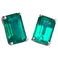 Stud Earrings