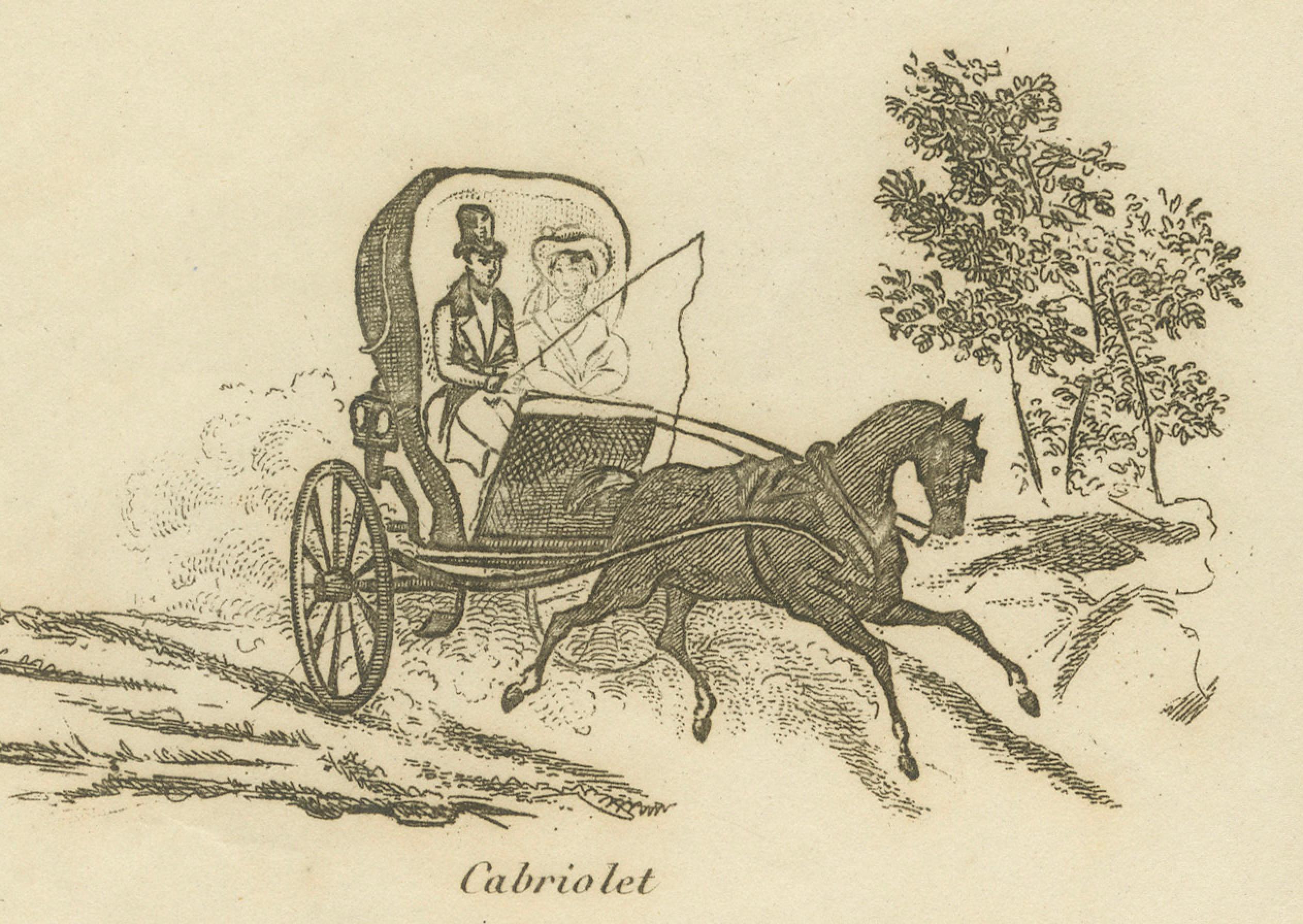 XIX secolo Petites Voitures Divers - Stampa antica di tipi di carrozze, Parigi, 1820 ca. in vendita