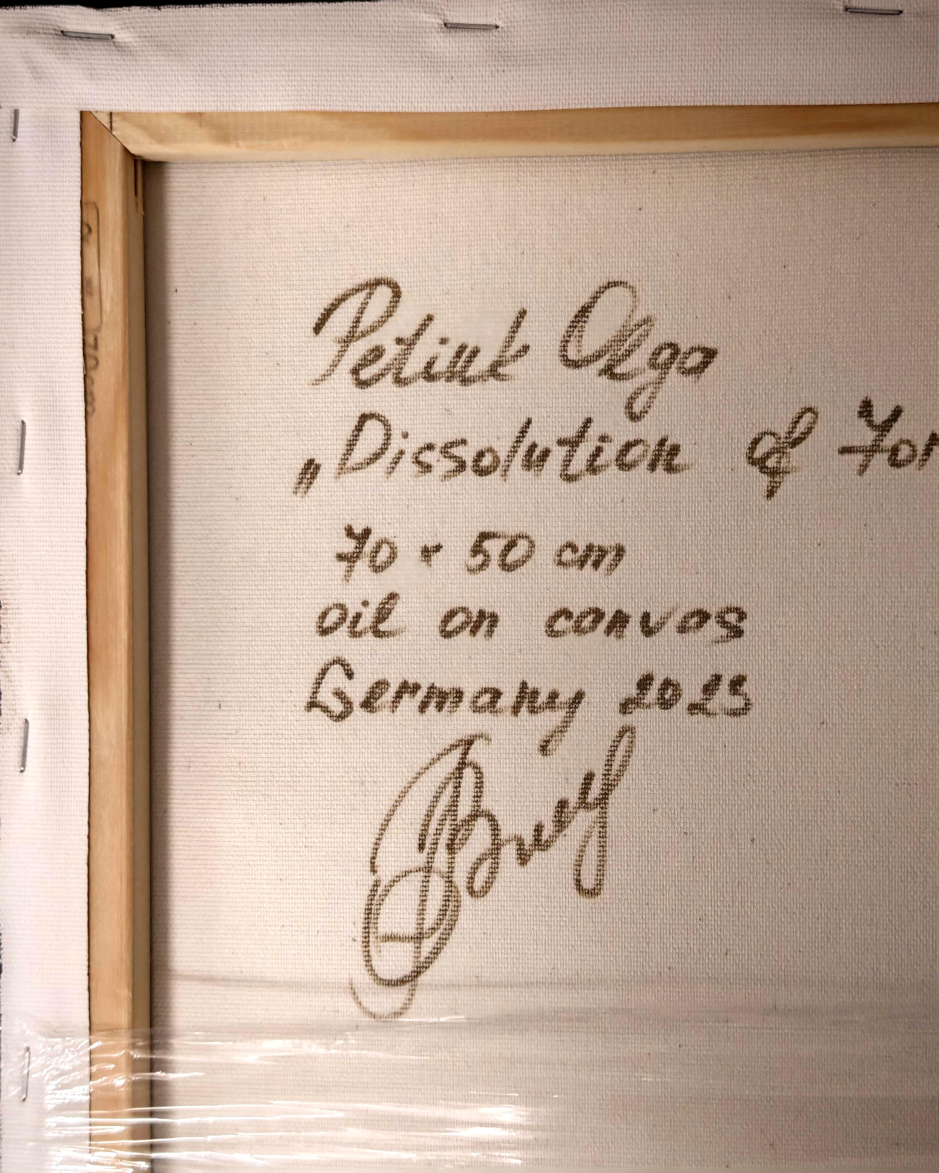 Dissolution of Form For Sale 4