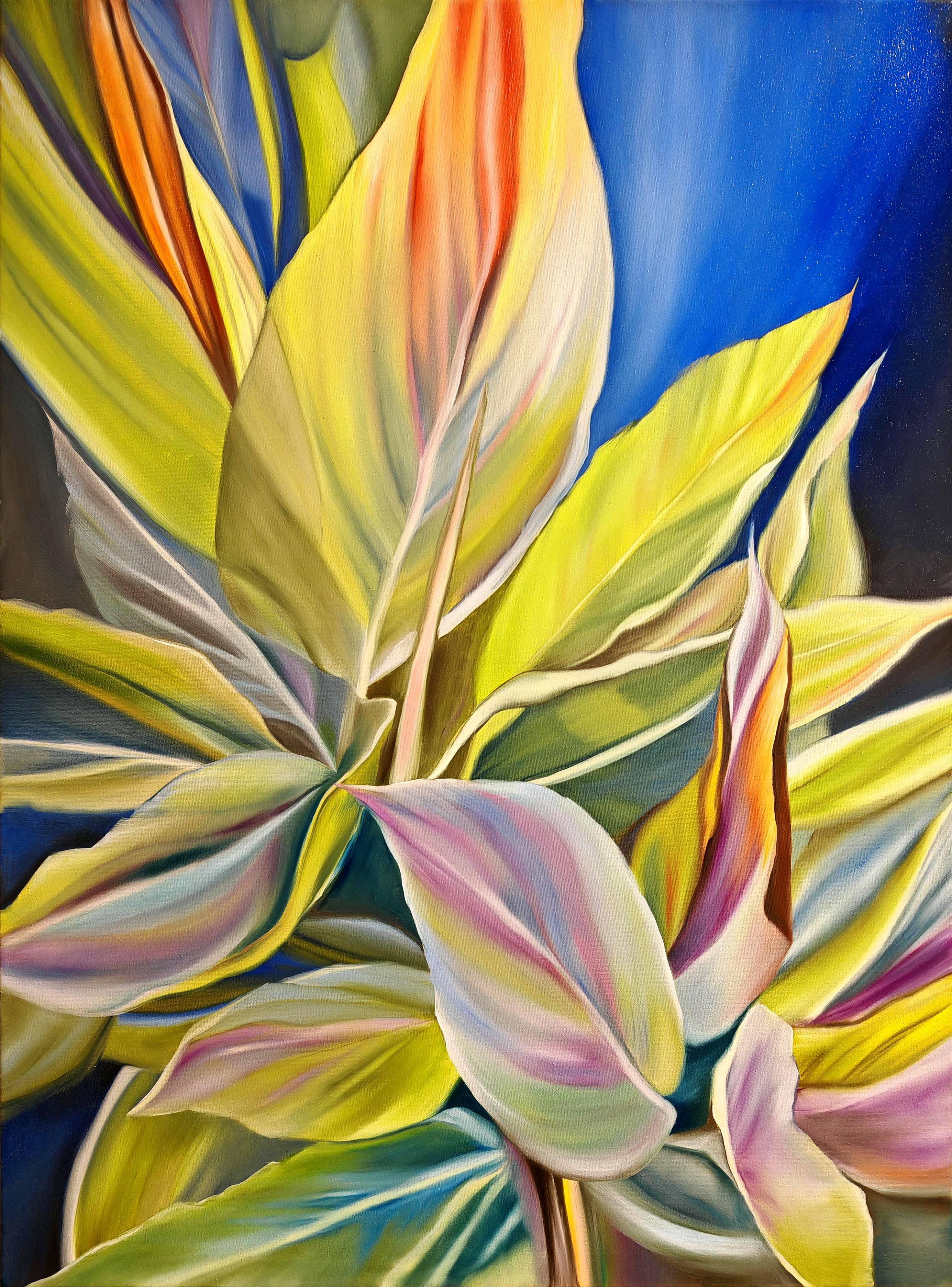 Solare Choreographie