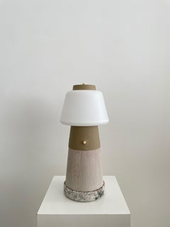 Petra Storage End Table No.5 by Meno Home
