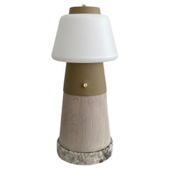 Petra Storage End Table No.5 by Meno Home